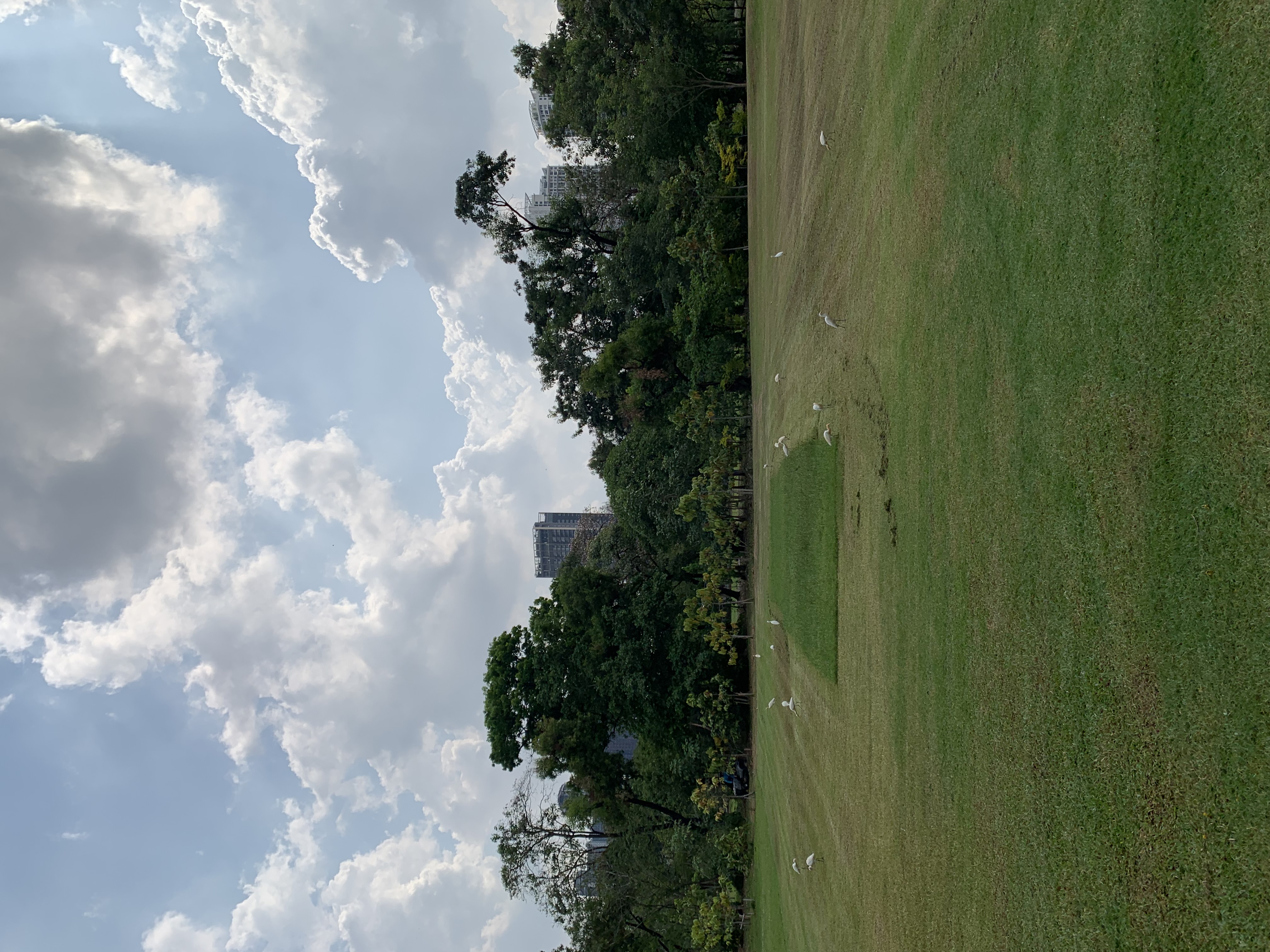 birdwatching spots23.jpg