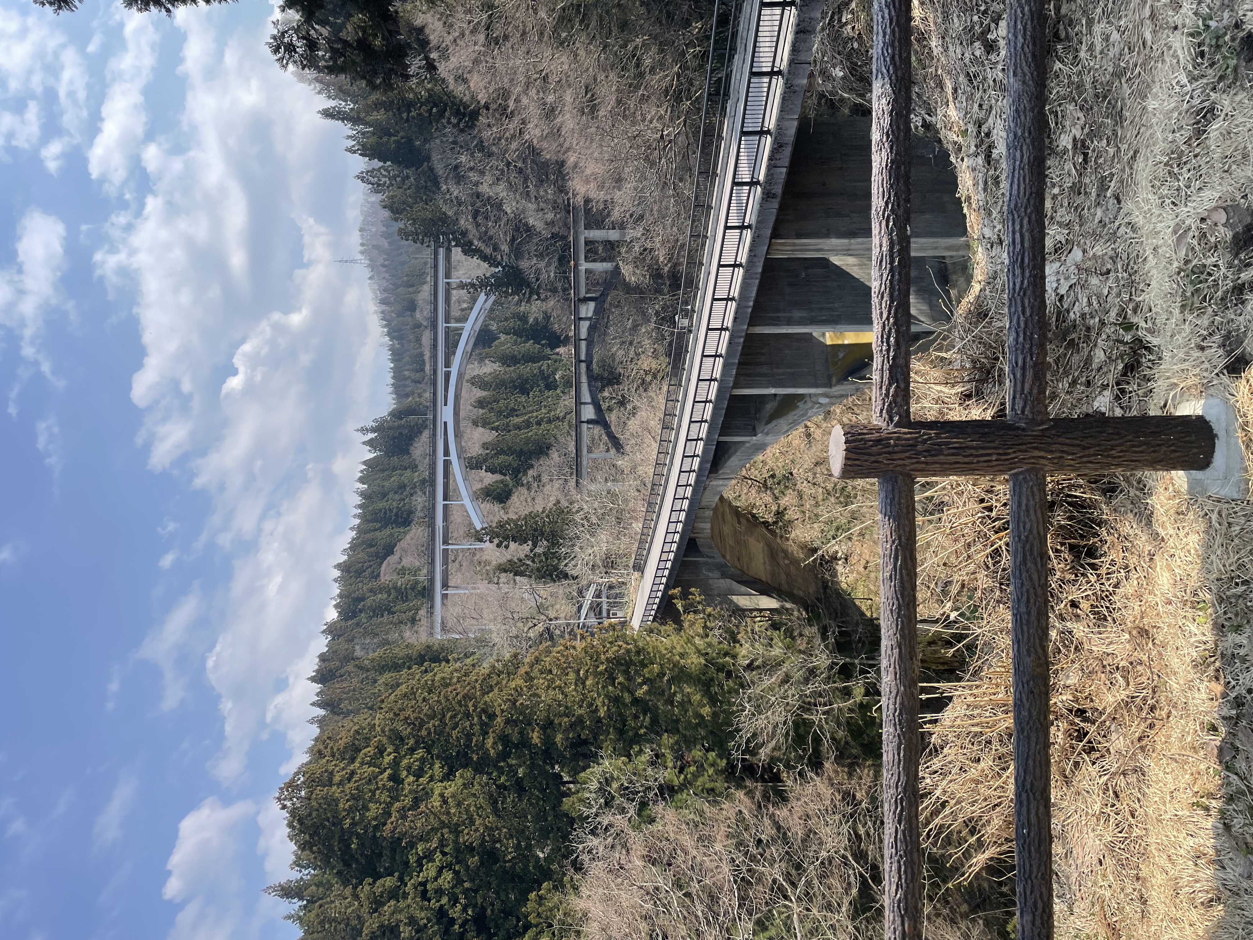 IMG_8004.jpeg