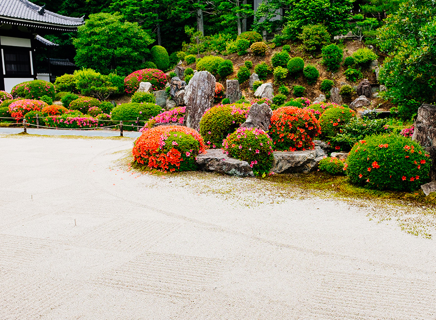 tofukuji15.jpg