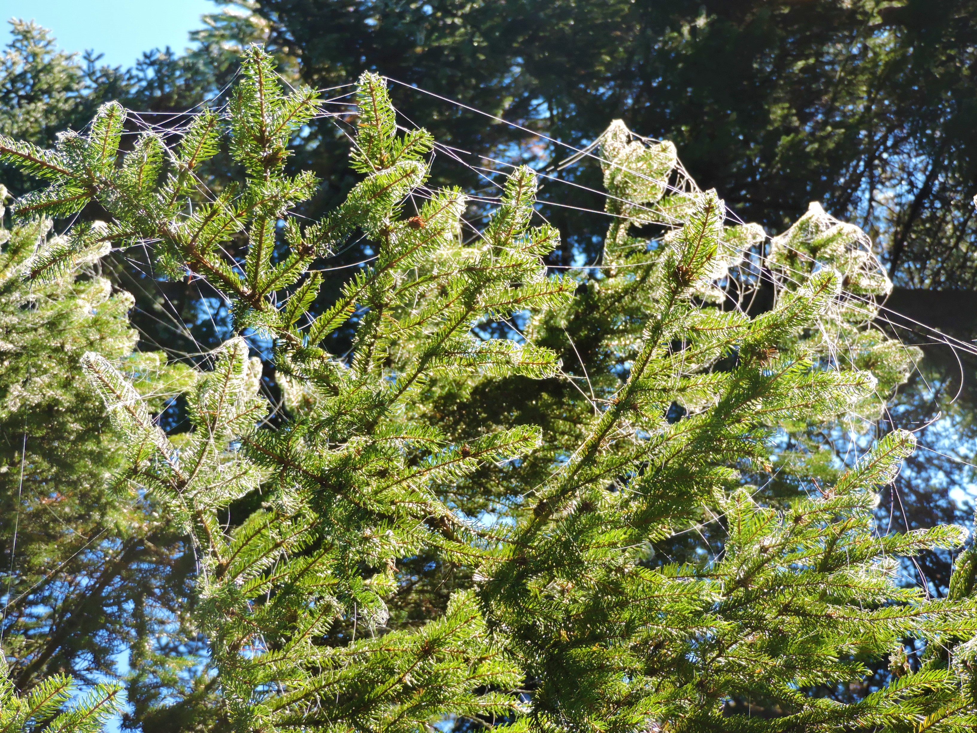 DSCN1857.JPG