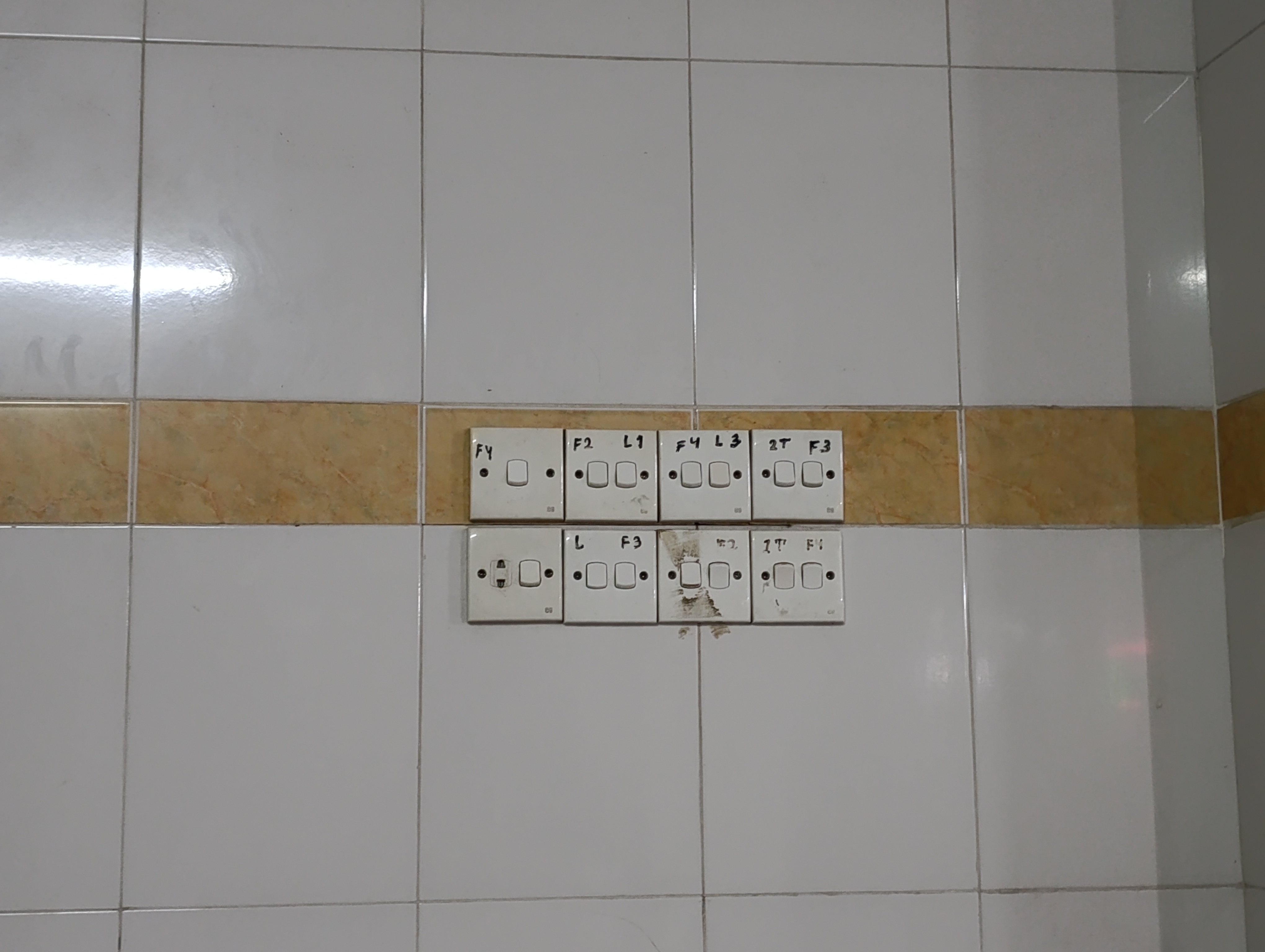 1000043548.jpg