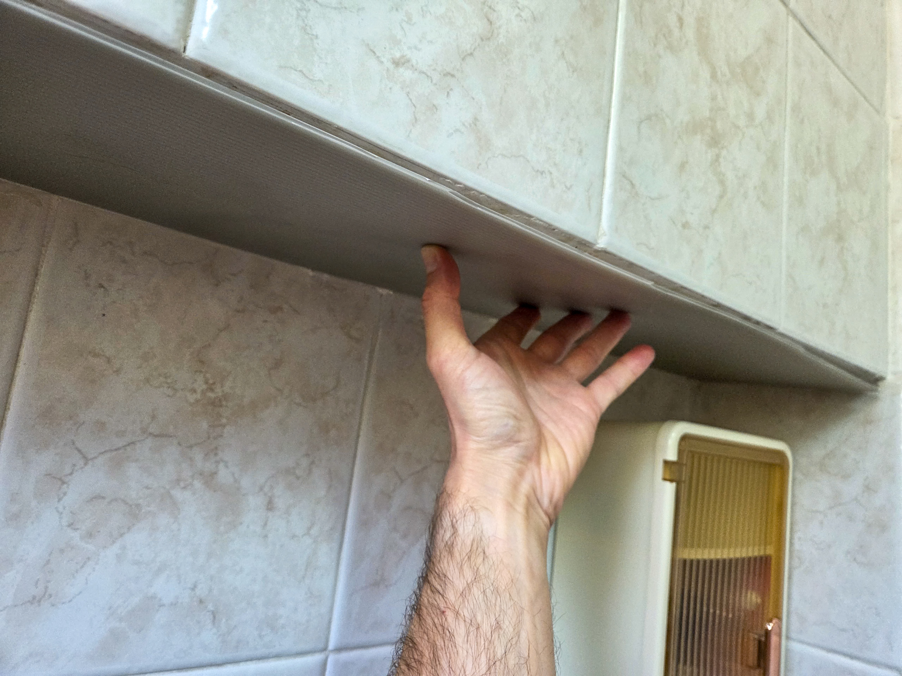 1000082393.jpg