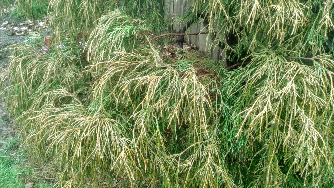 20190223_155639.jpg