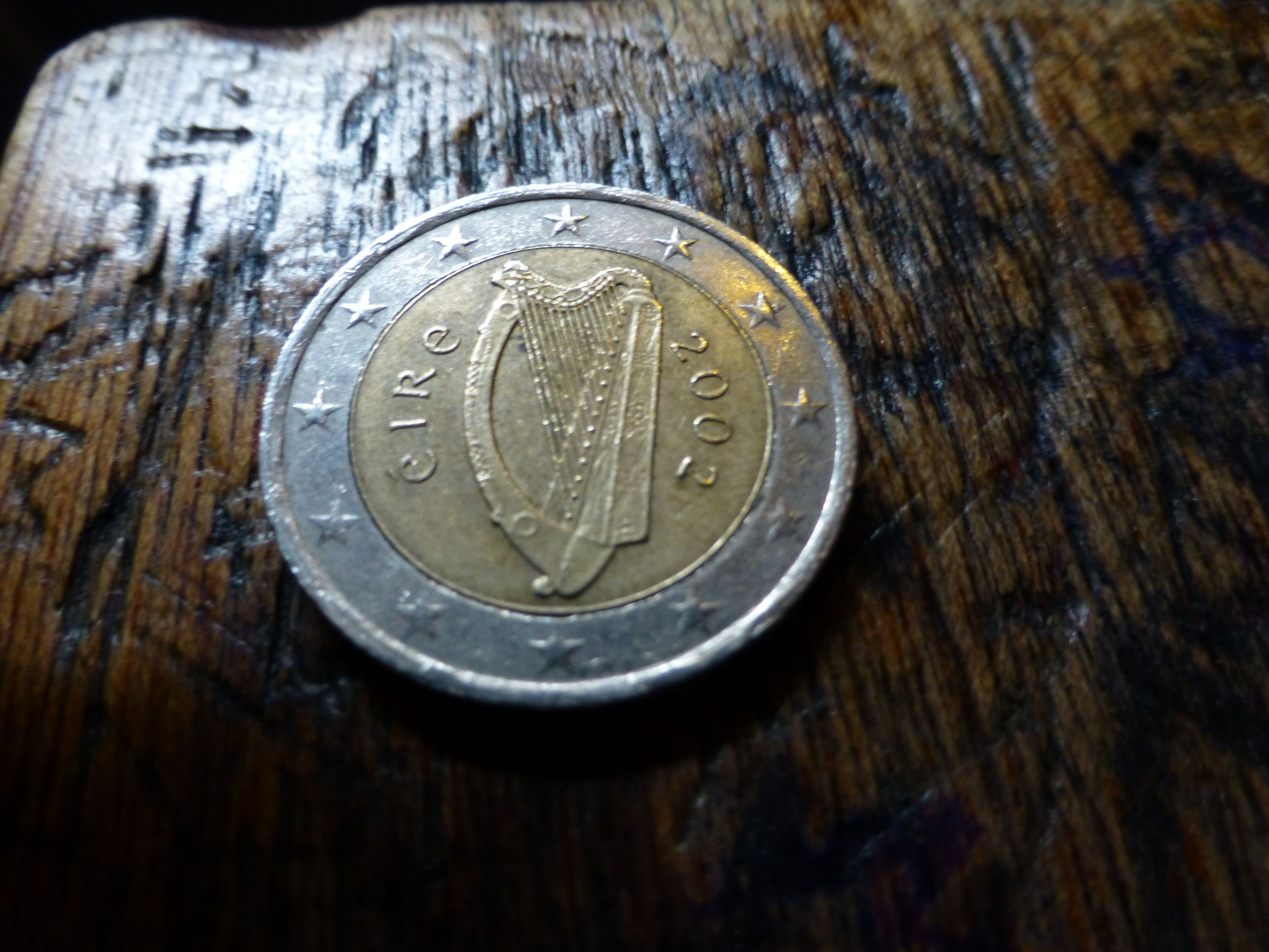 P1000236.jpg