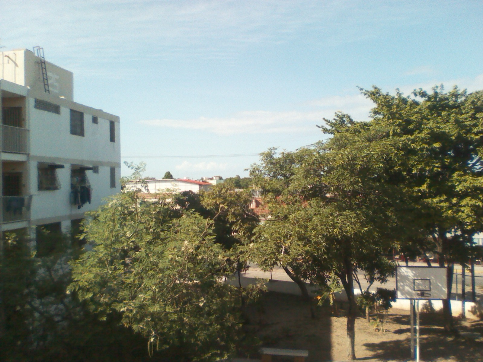 IMG_20201202_145356.jpg