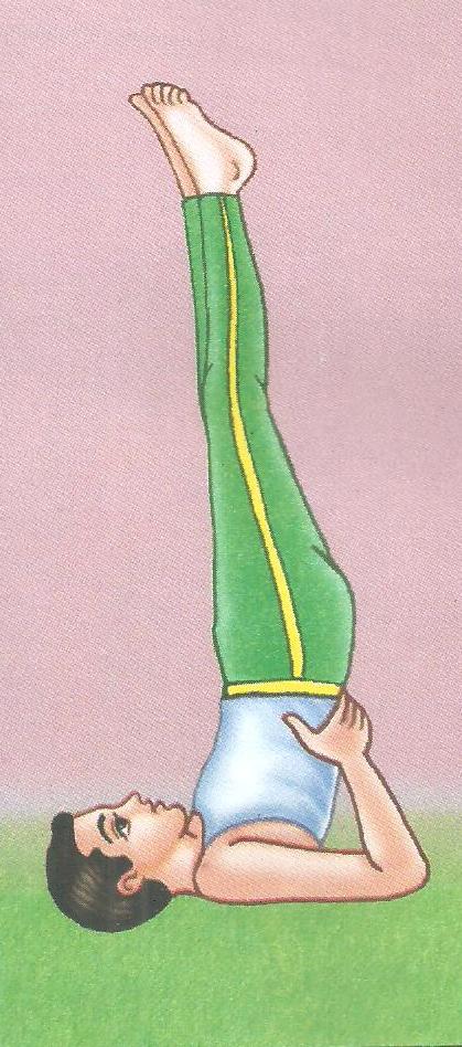 Shoulderstand Or Candlestick Woman Home Workout Exercise Guidance Salamba  Sarvangasana Yoga Pose Vector Illustration Stock Illustration  Download  Image Now  iStock