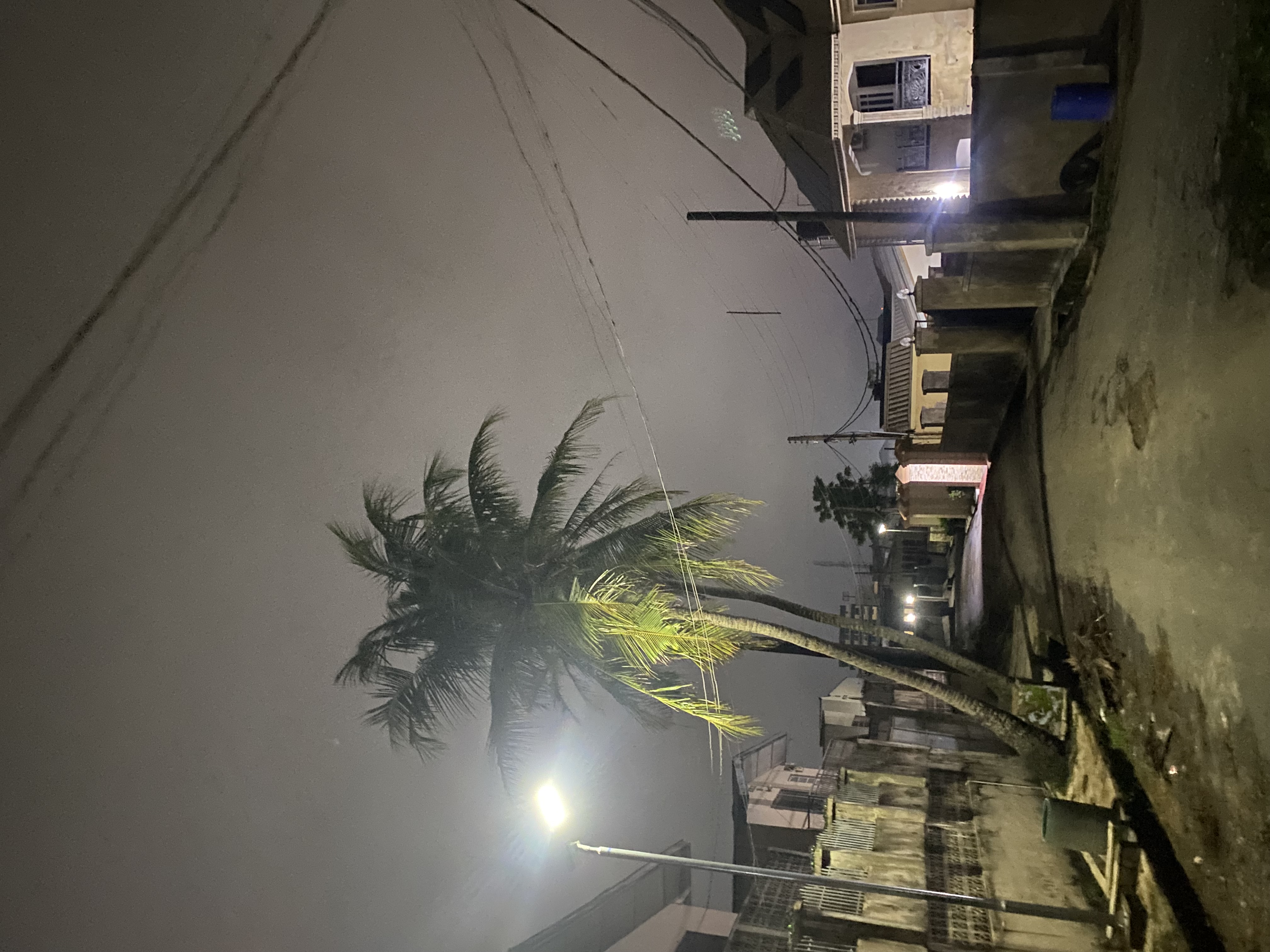 IMG_3964.jpeg