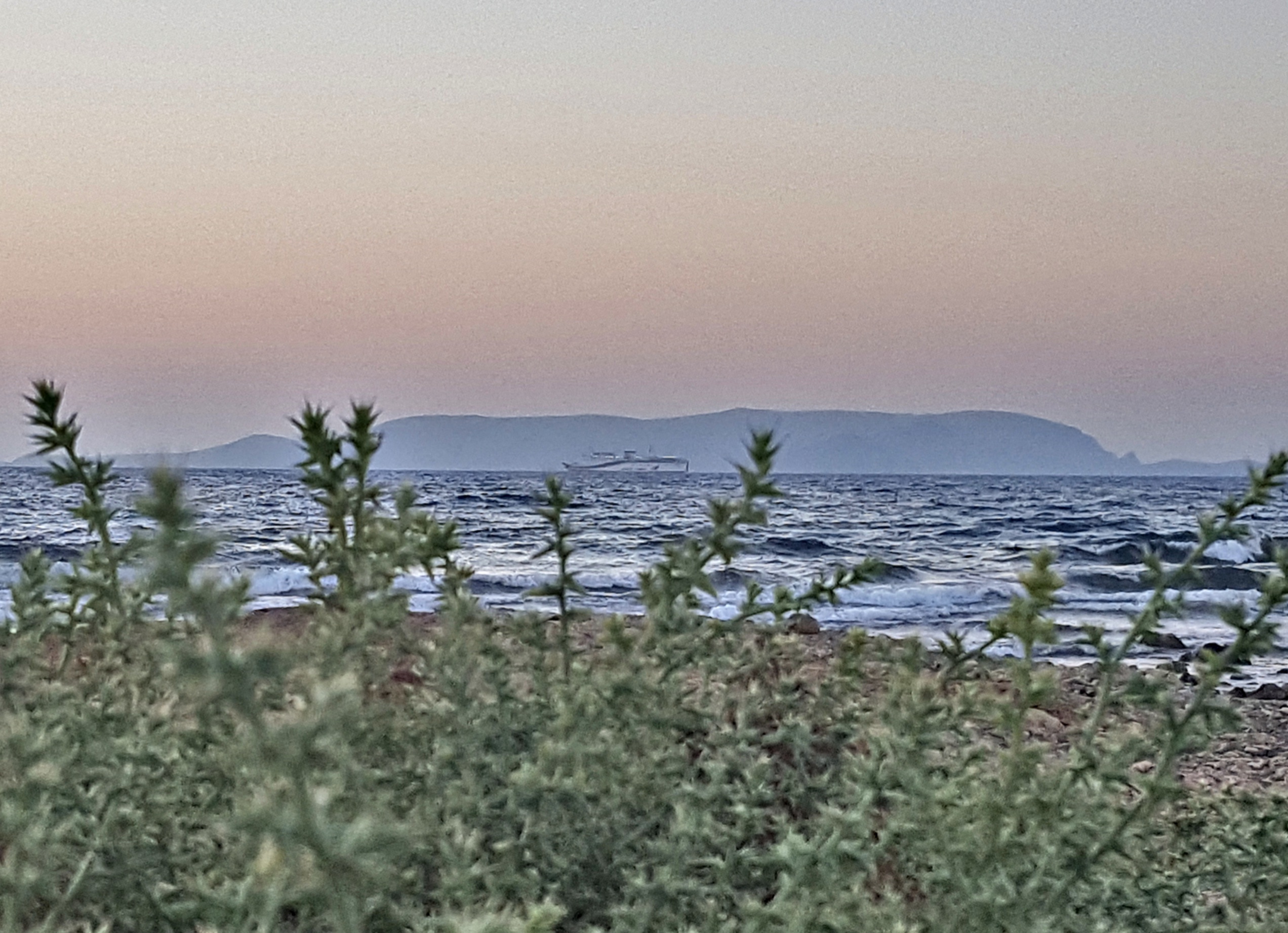 20180902_220751.jpg