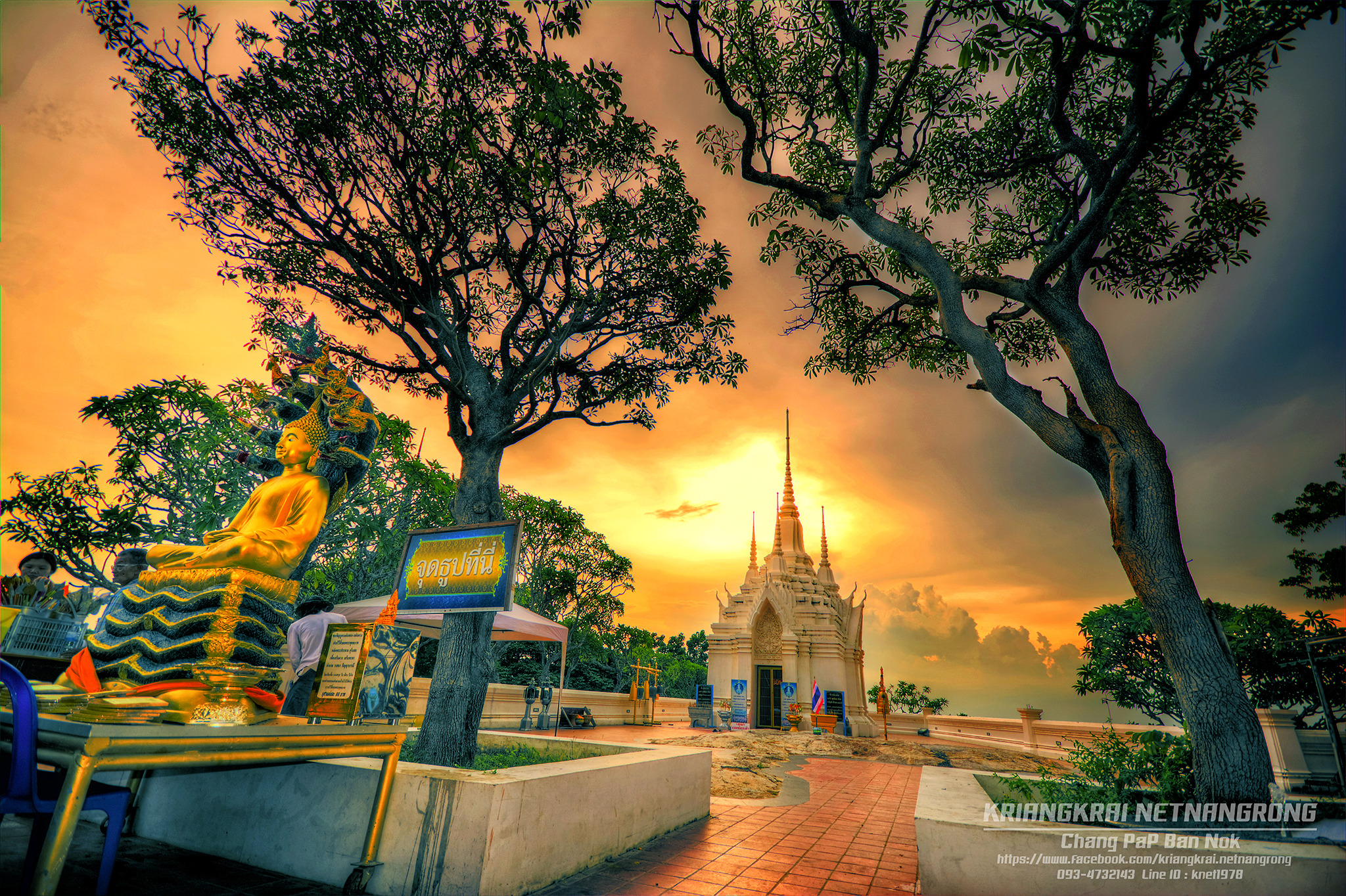 TAE_1000_tonemapped.jpg