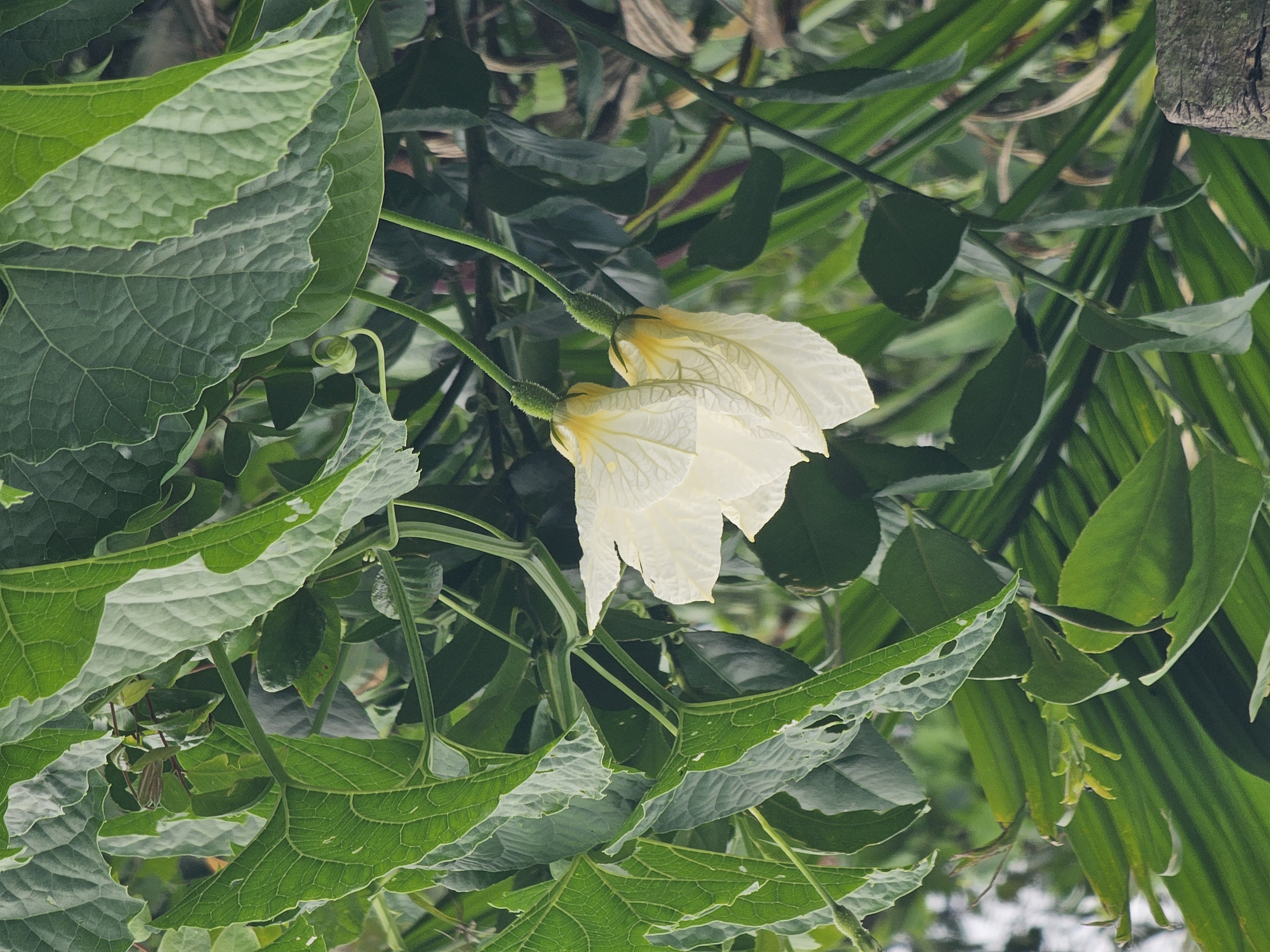 20260512_112850.jpg