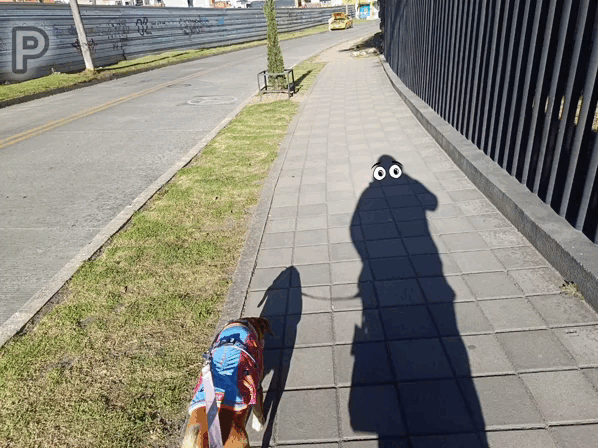 131176.gif