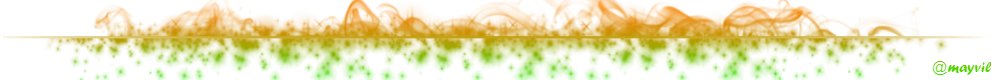 fusion de verde y naranja mitad.png