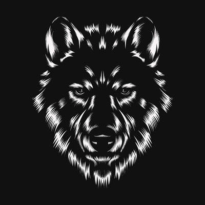 Steemit profile picture for @wolfex