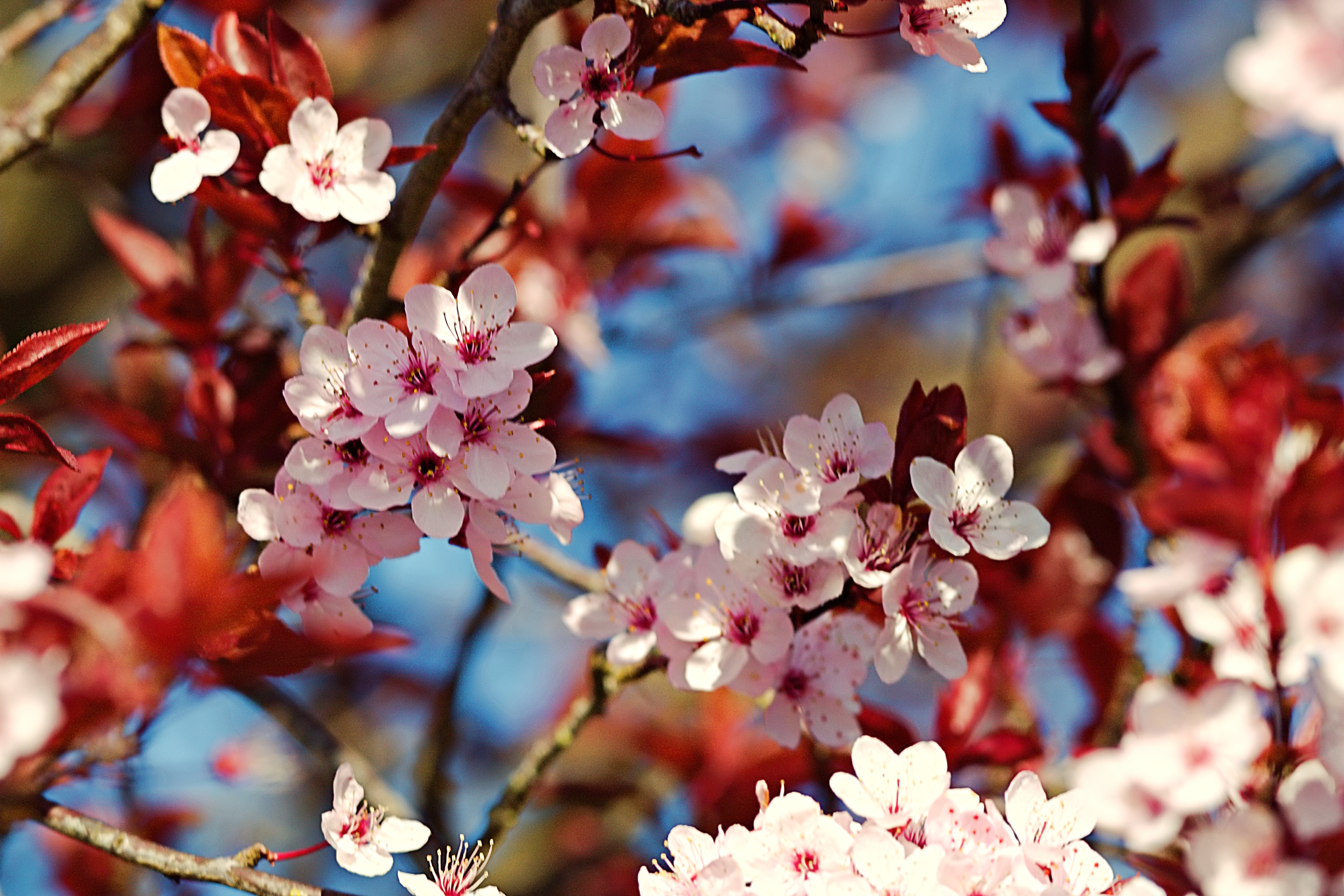 IMG_1395_InPixio (2).jpg