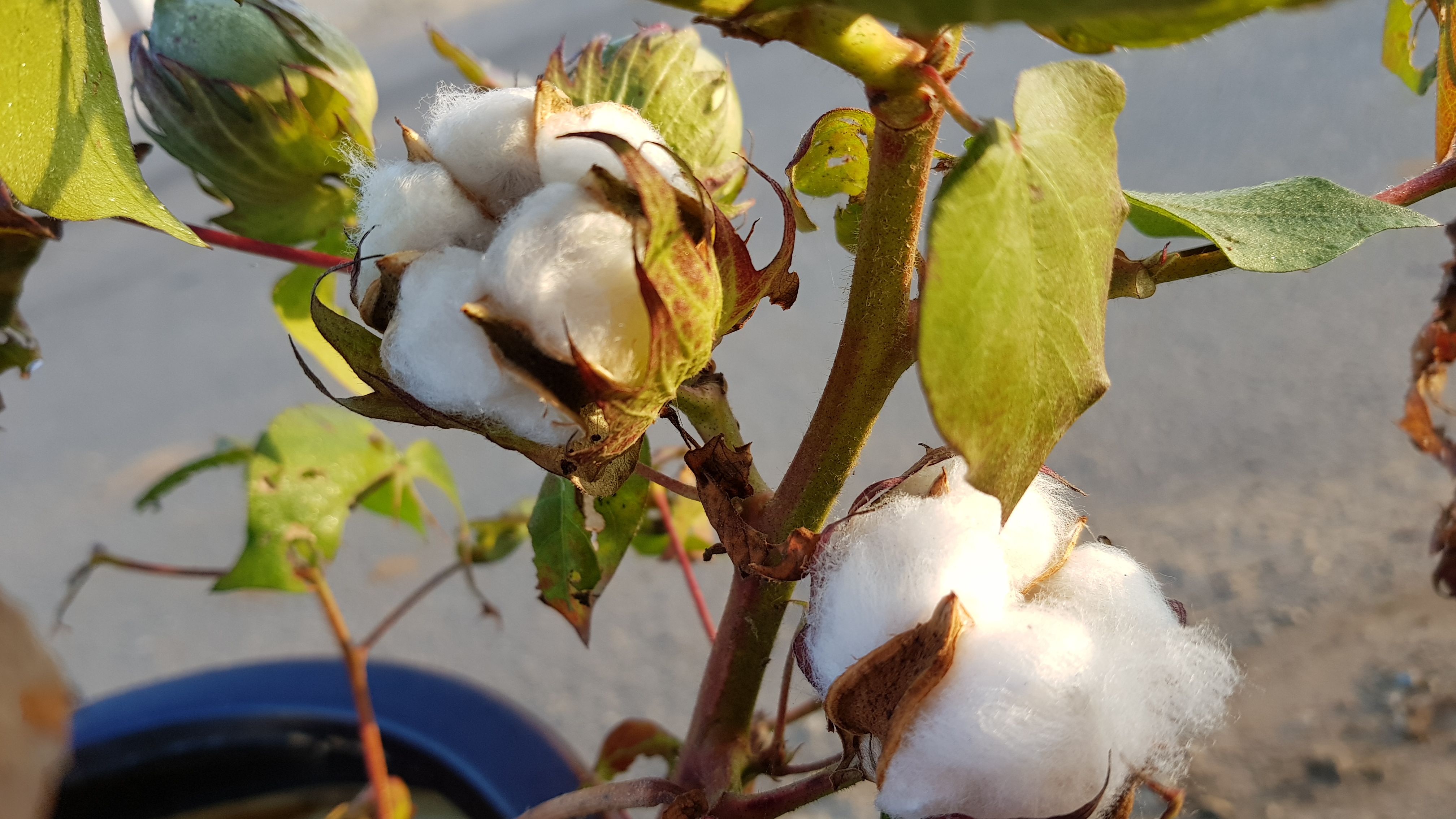 20181003_072406.jpg