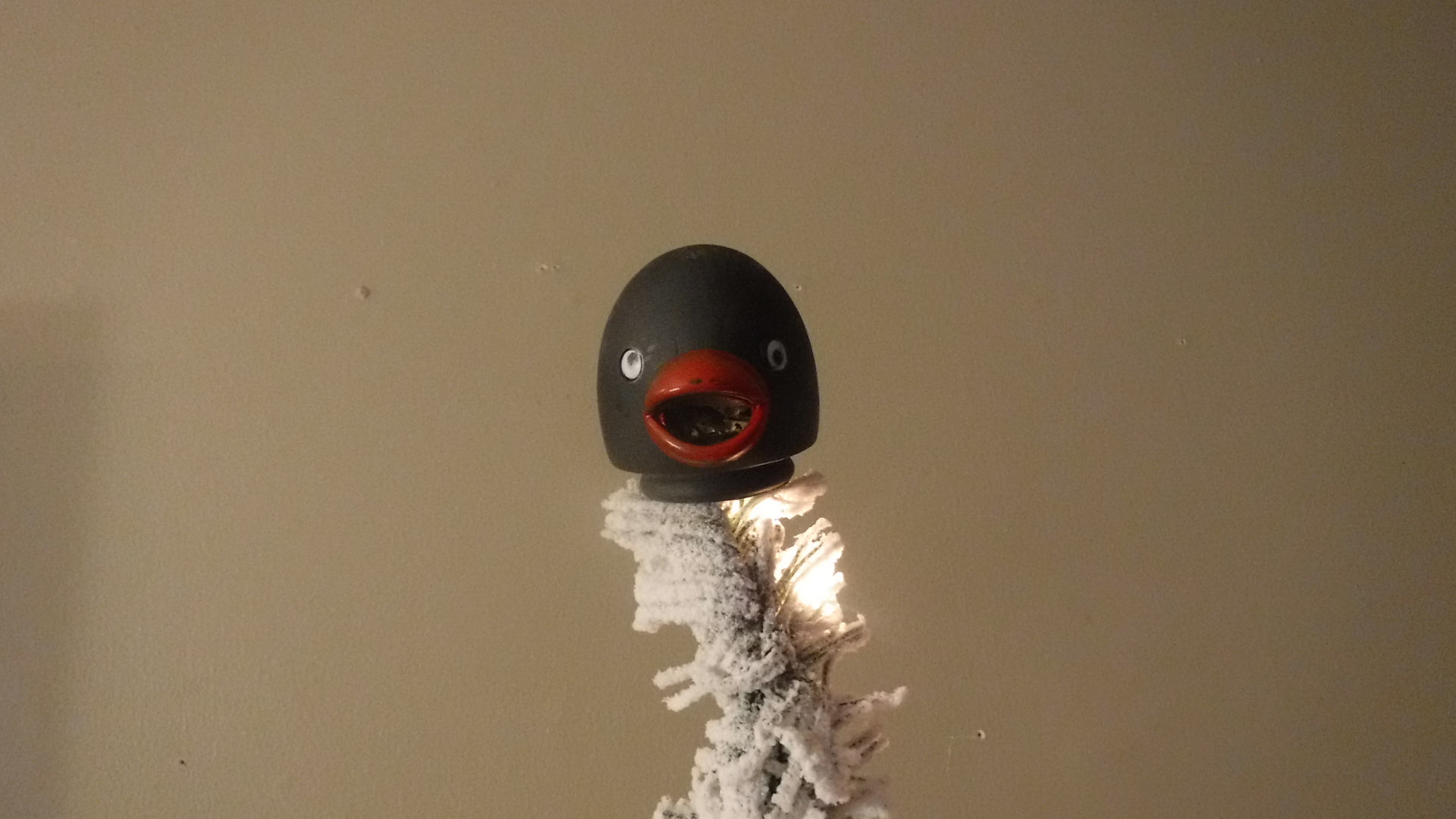 DSCF7116.JPG