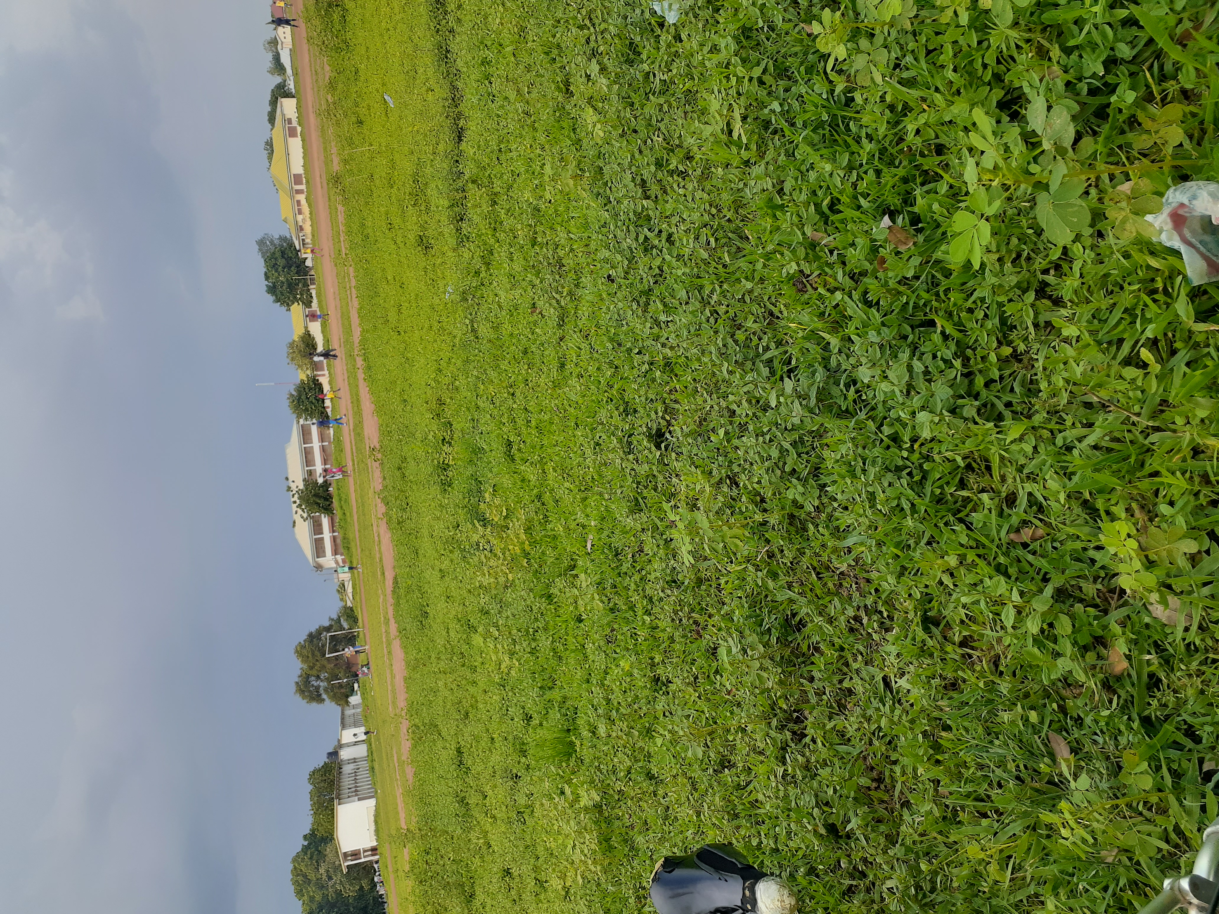 20220722_165620.jpg