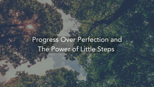 Blog_December_2024_Progress_Over_Perfection_and_The_Power_of_Little_Steps_520x500_520x500_cc130516-29b3-46c9-bc40-1622460554aa.webp