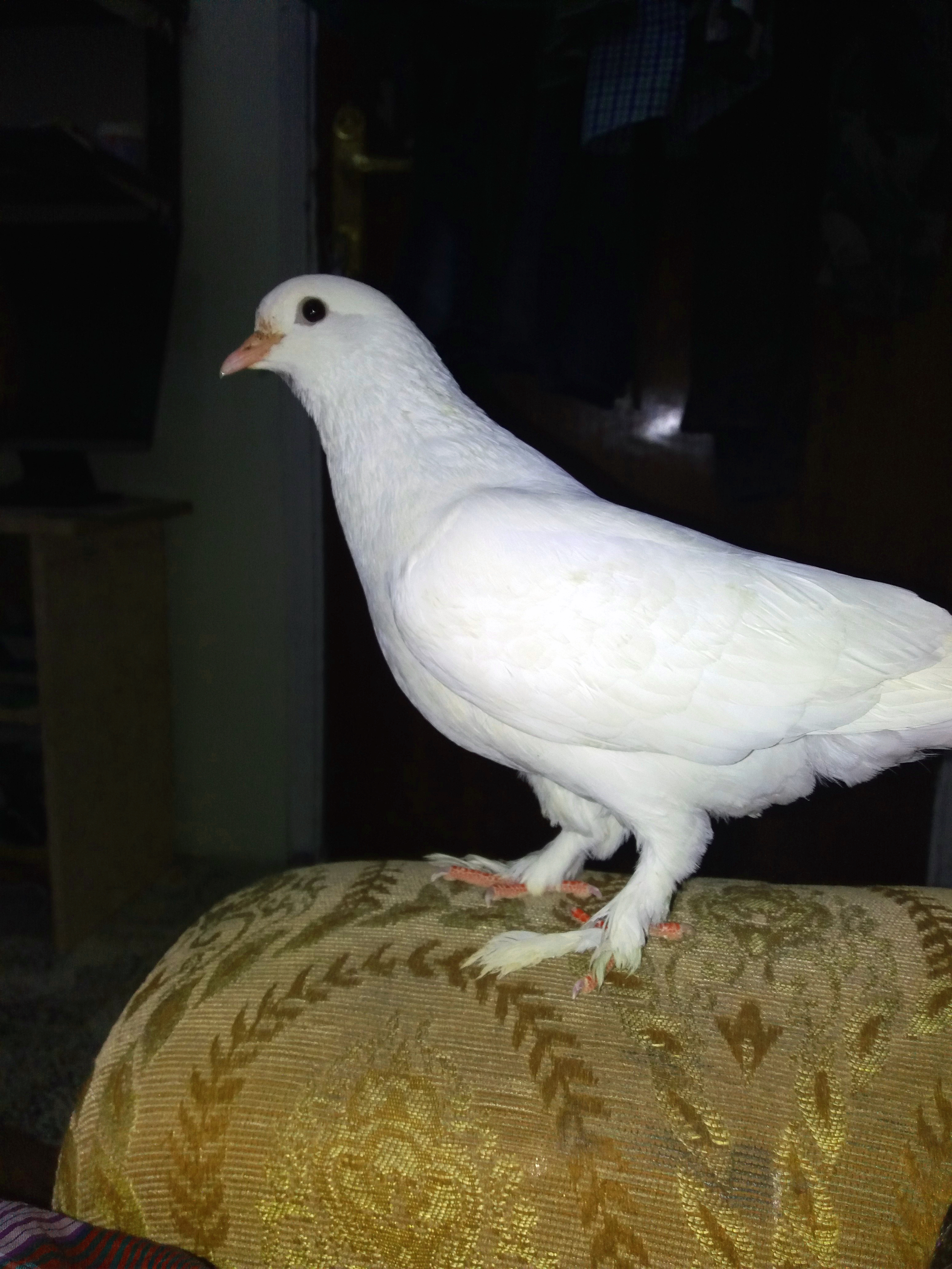 20180327_215636.jpg