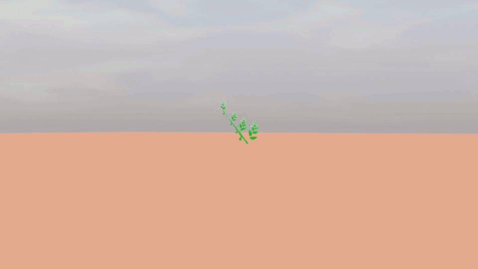 植物1.gif