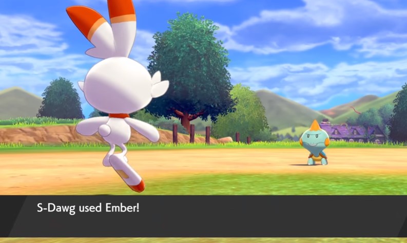 poke25.jpg