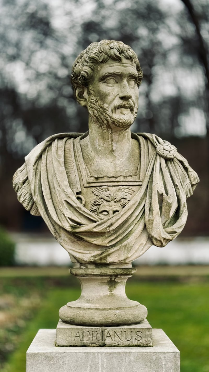 169366.jpg