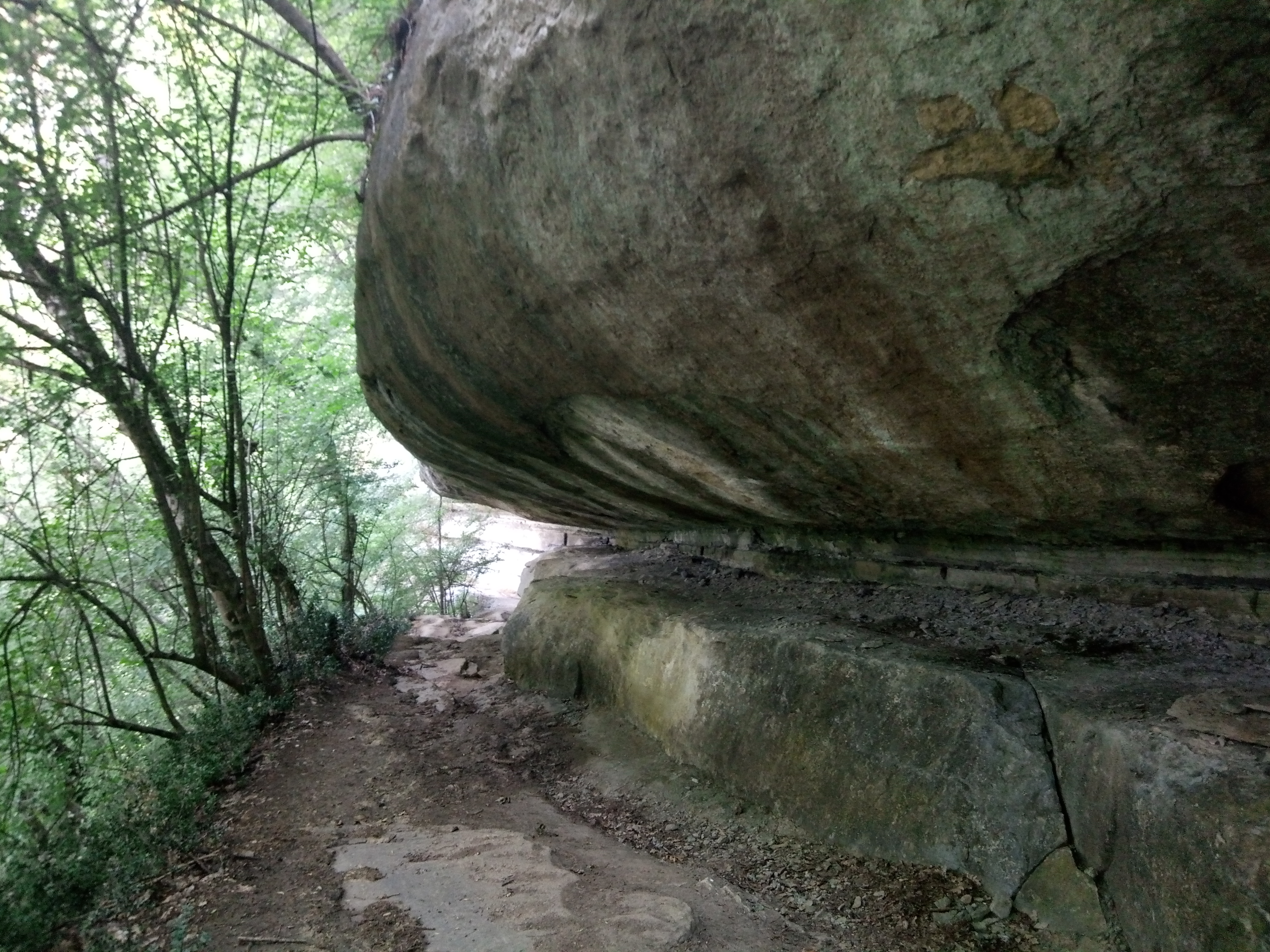 P80728-115546.jpg