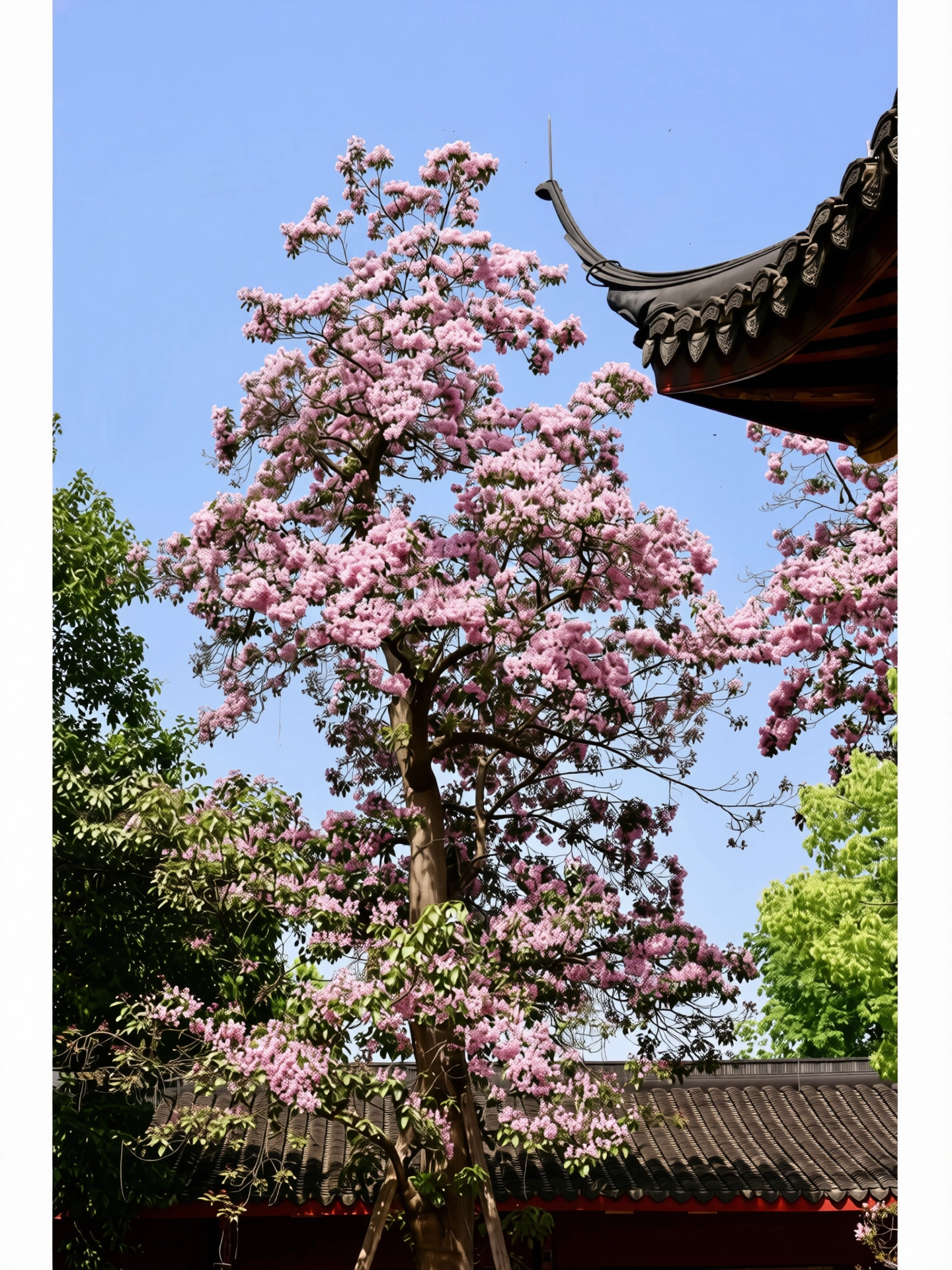212.webp