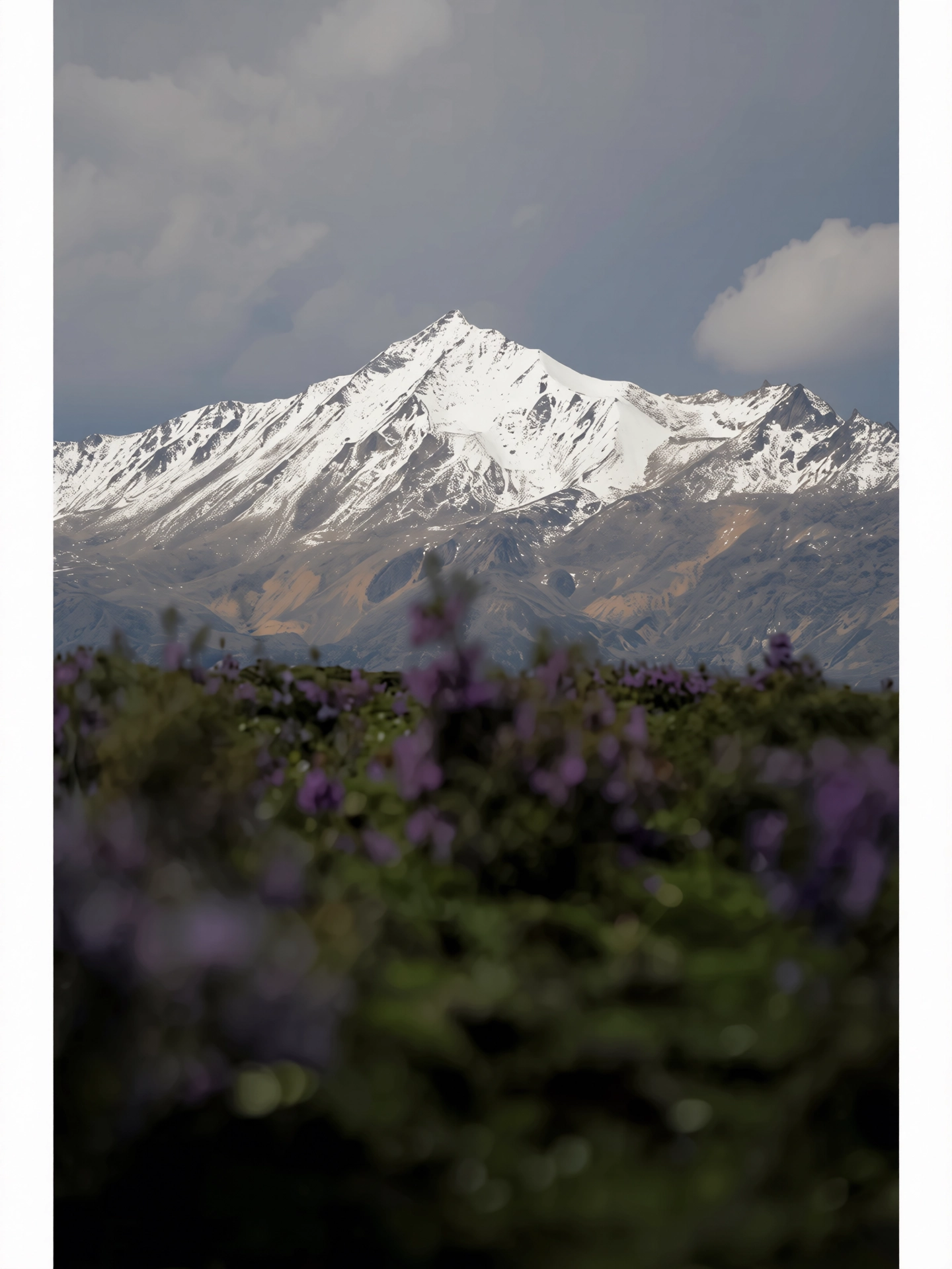 206.webp