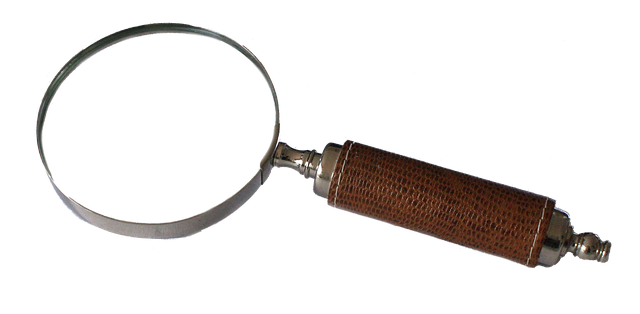 bluebudgie-magnifying-2681173_640.png