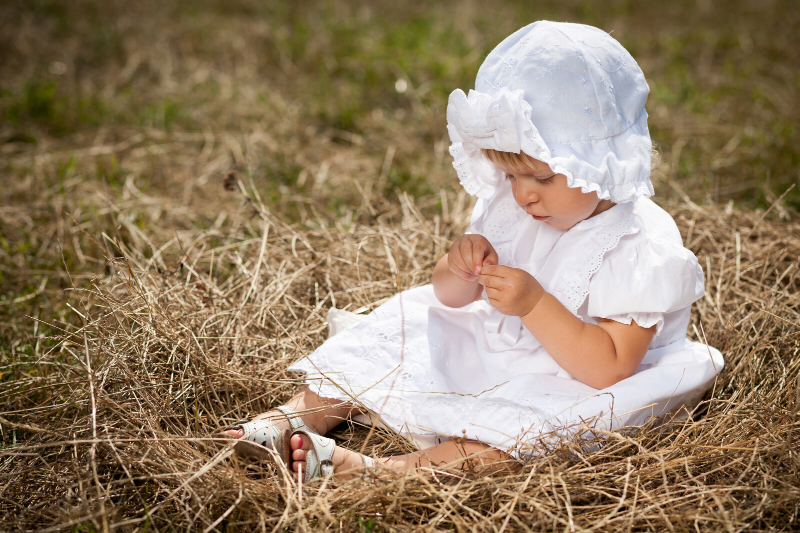 canstockphoto12422839.jpg