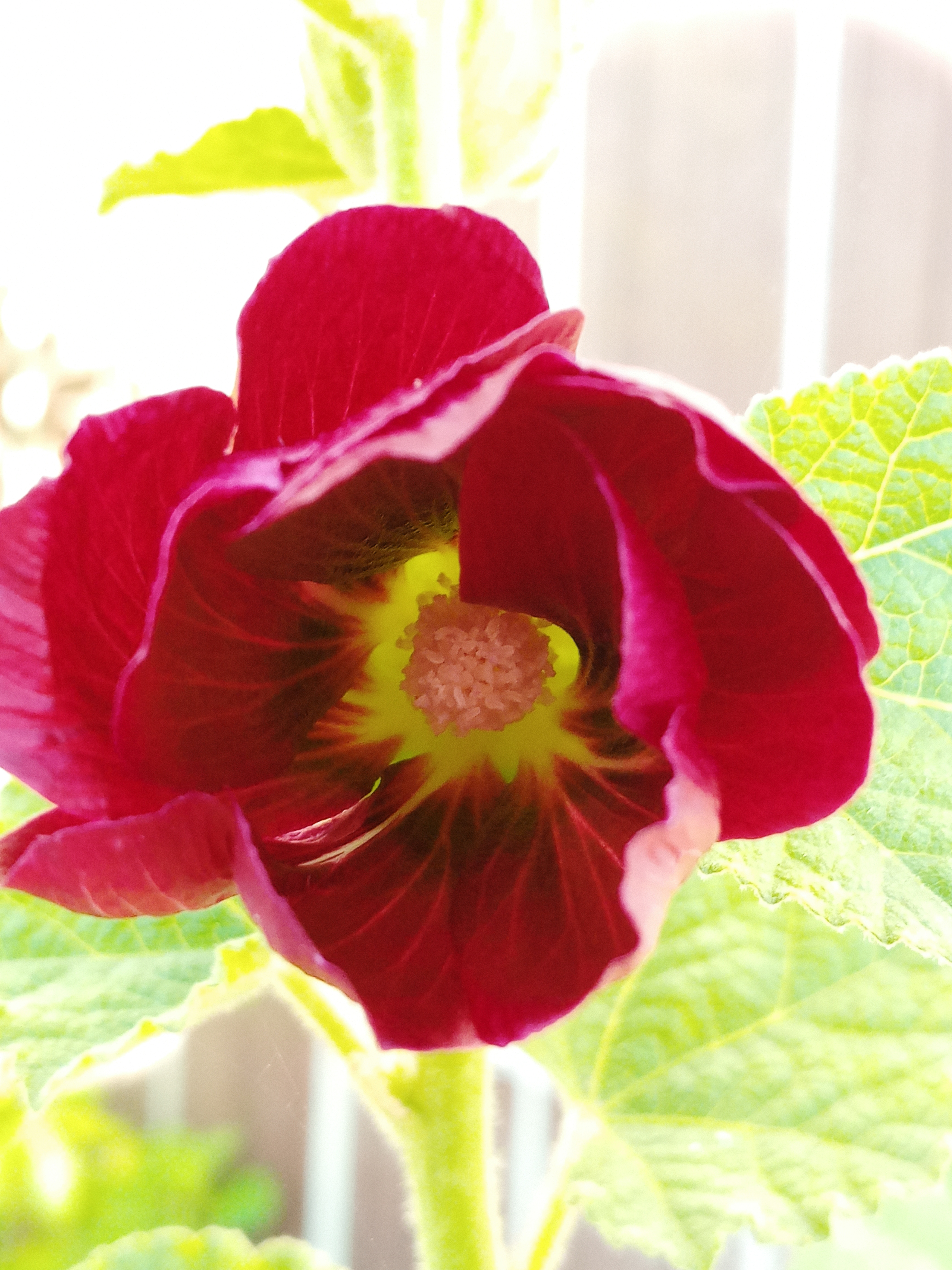 20220715_070329_HDR.jpg