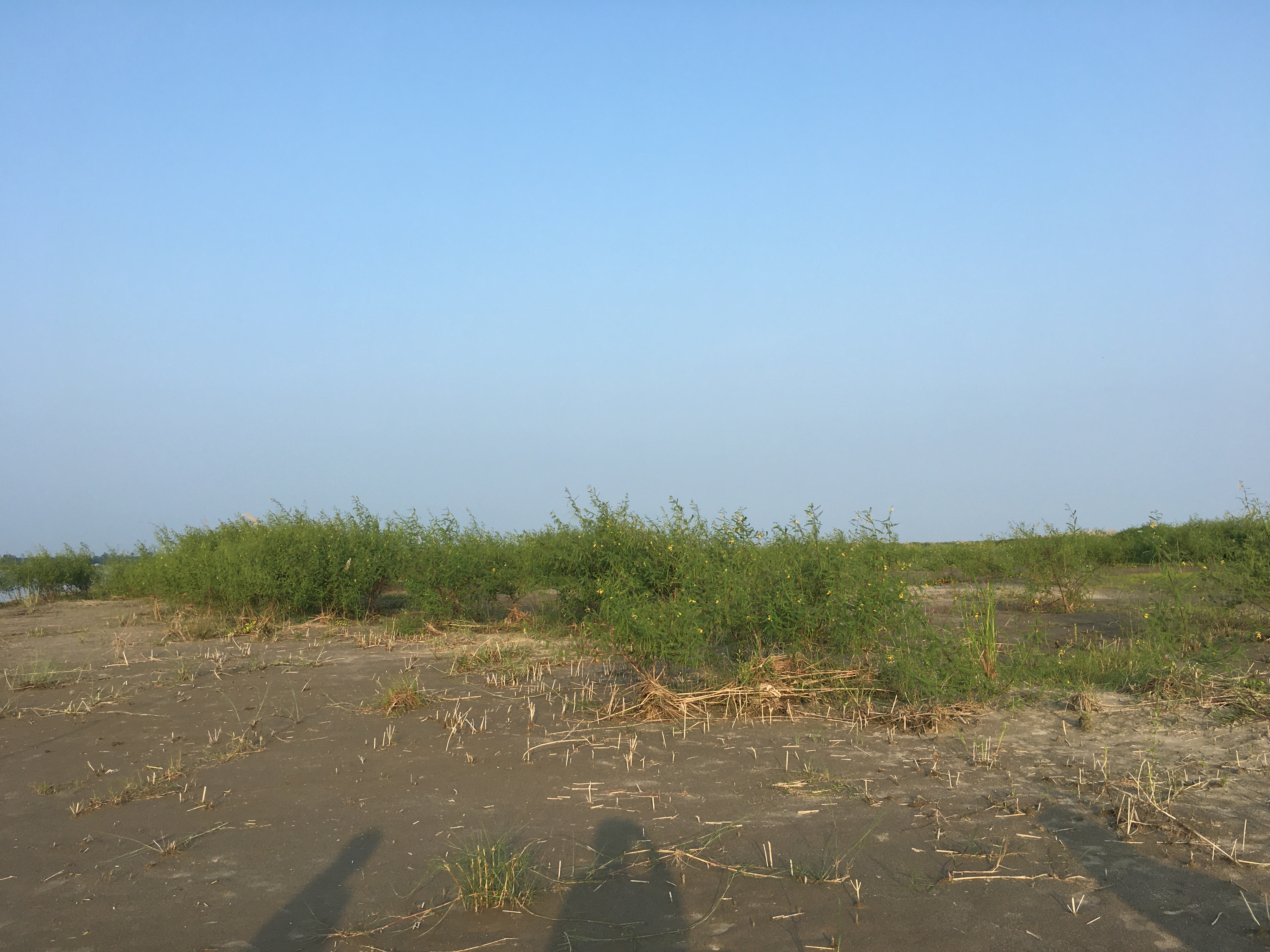 FAA46B9D-B6F7-4F60-B7EB-64999AB8D774.jpeg