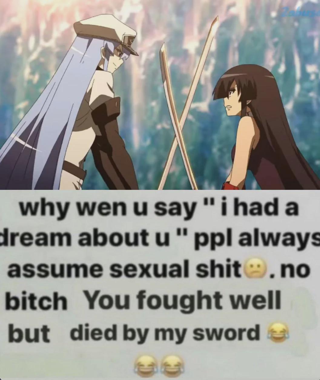 Esdeath_and_akame_memes.jpeg