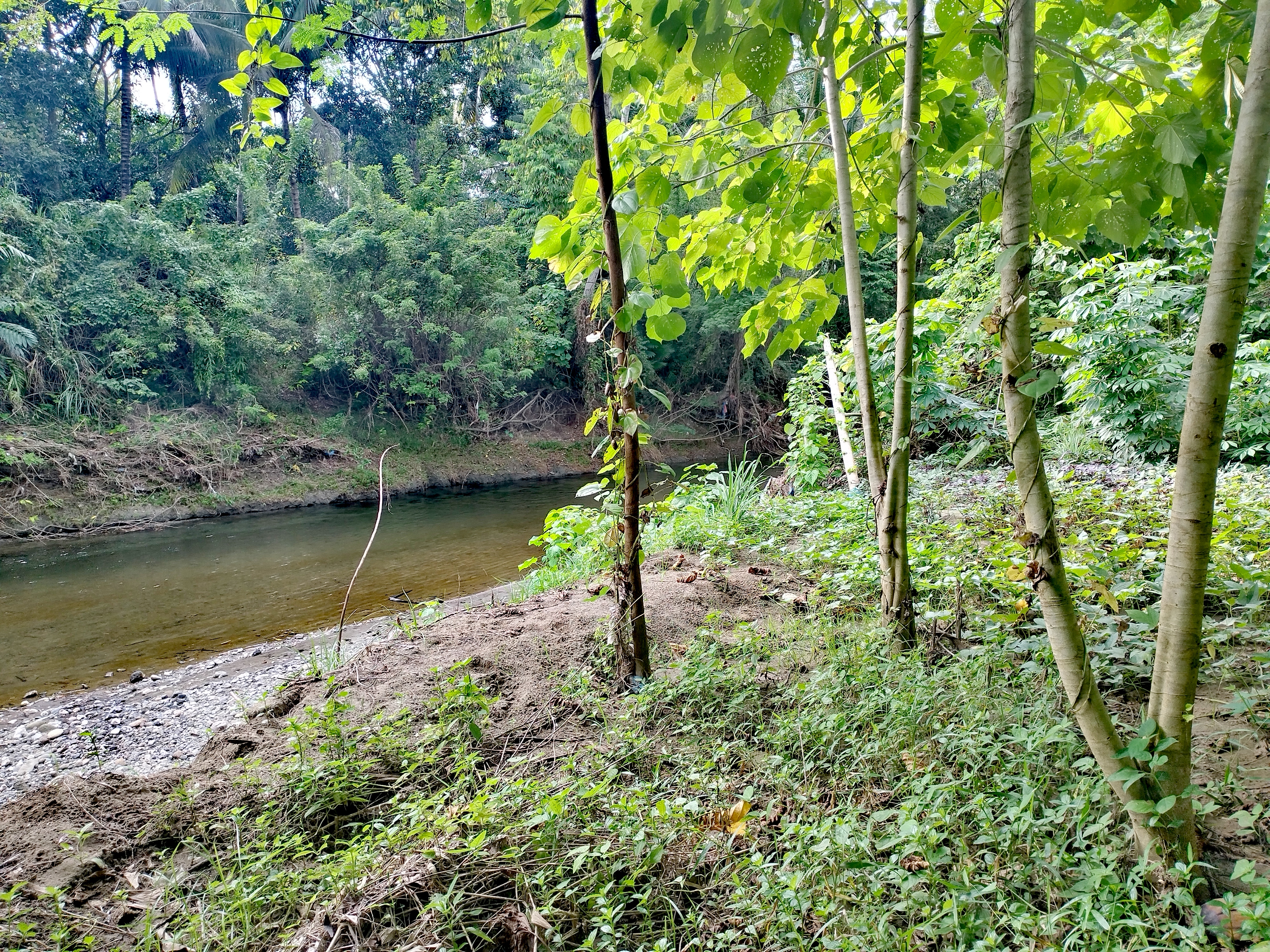 IMG_20251218_151406.jpg
