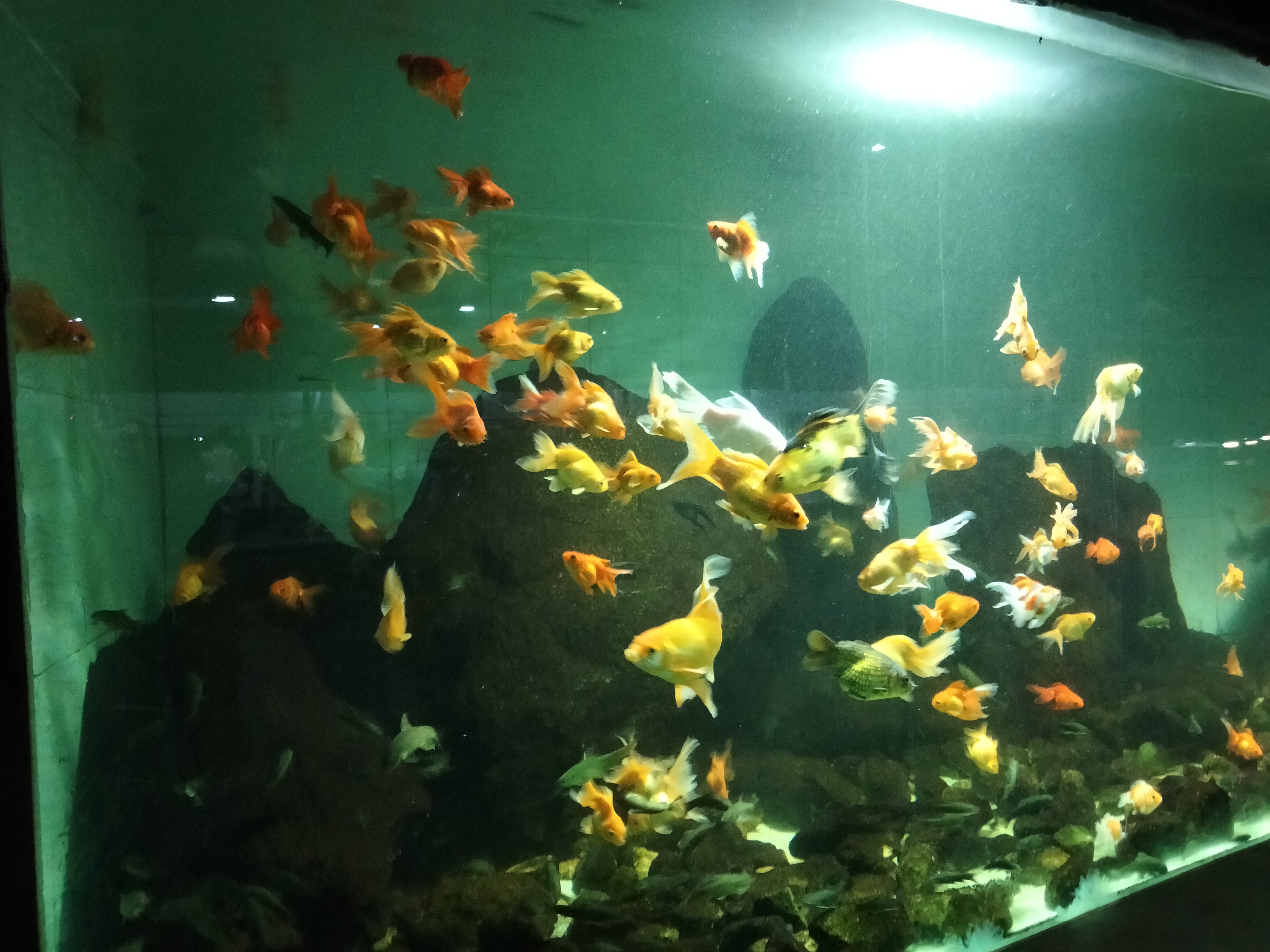 IMG20211104182003.jpg