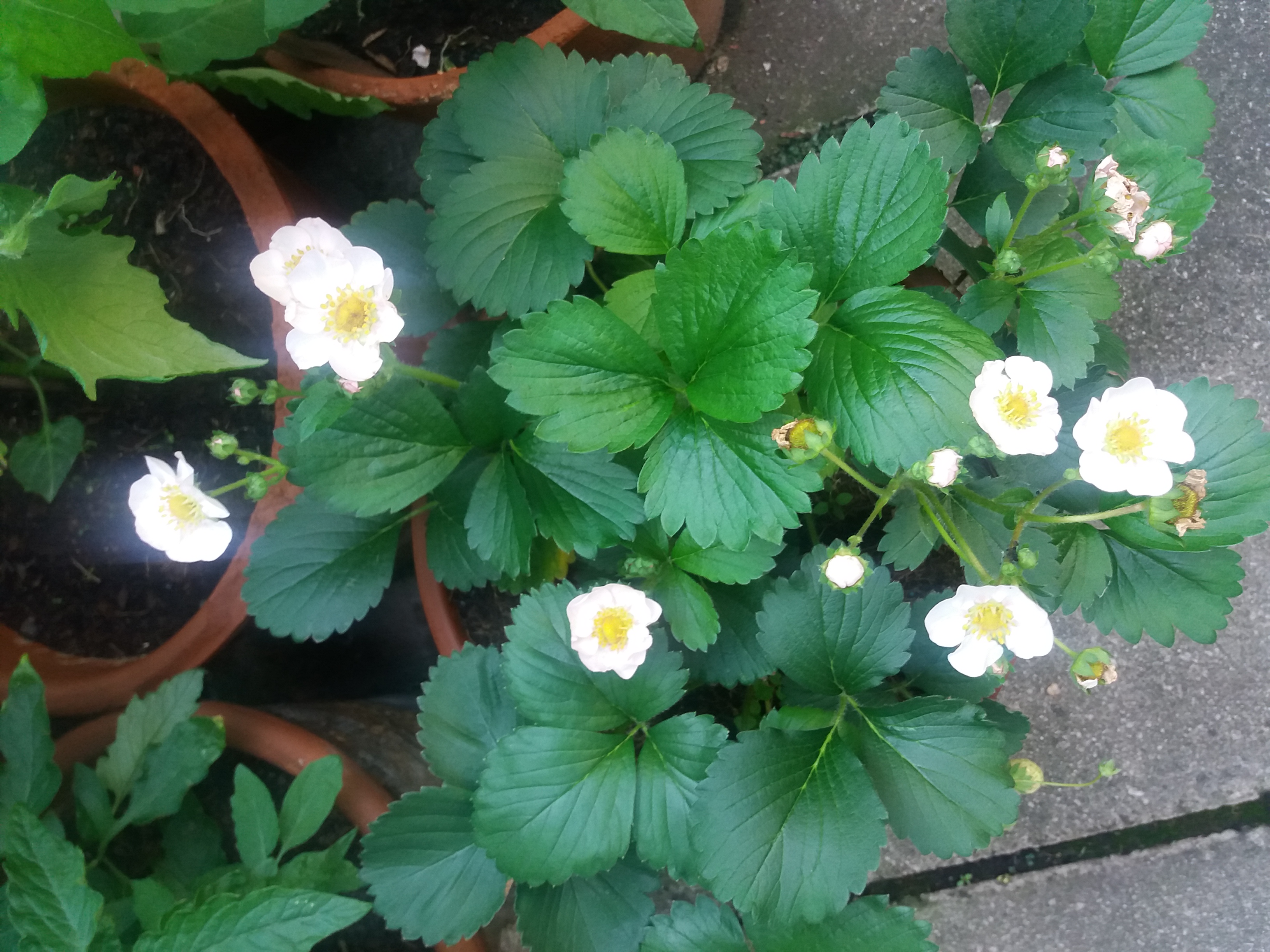 20180519_080317.jpg