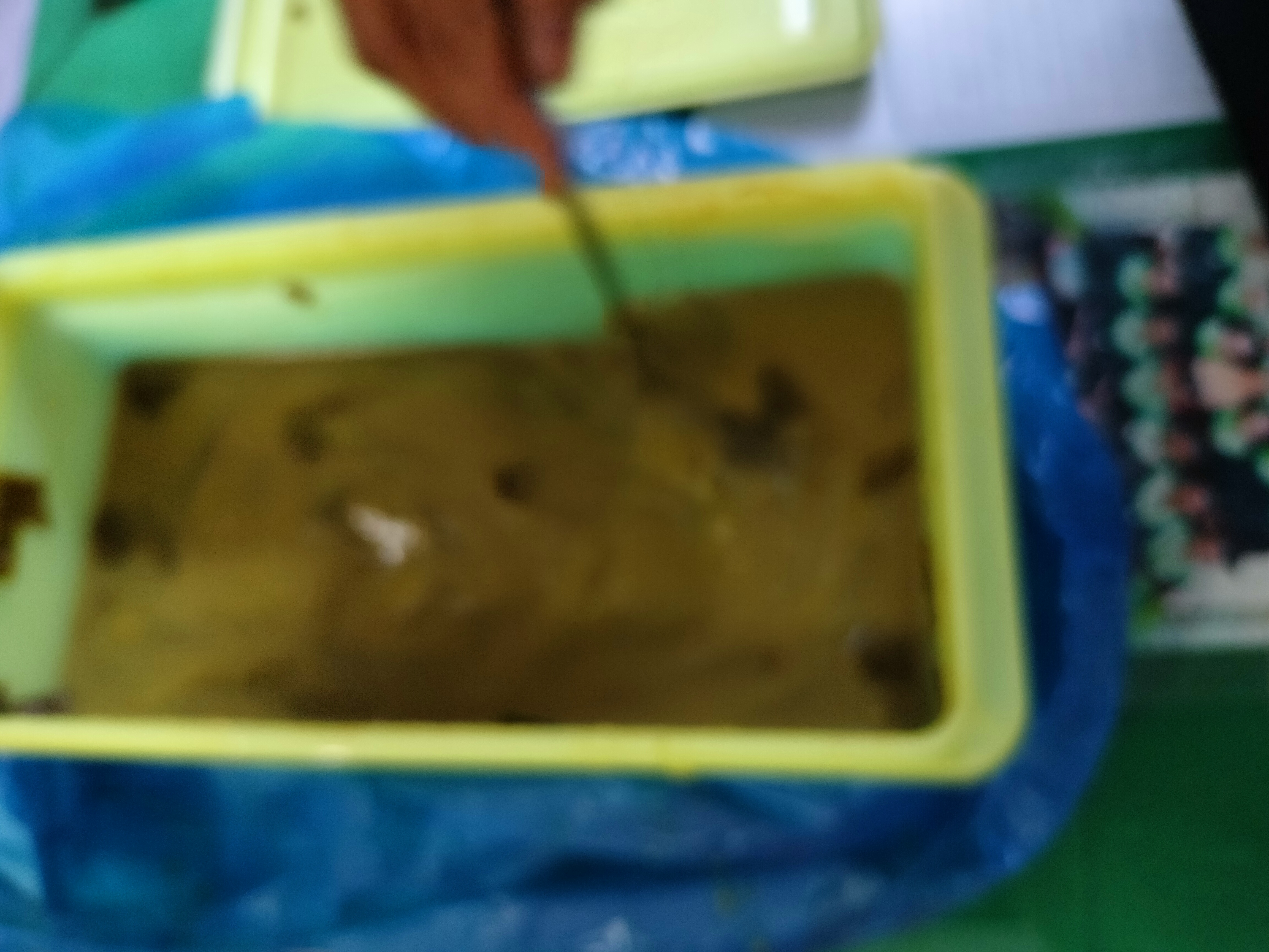 IMG20220328074706.jpg