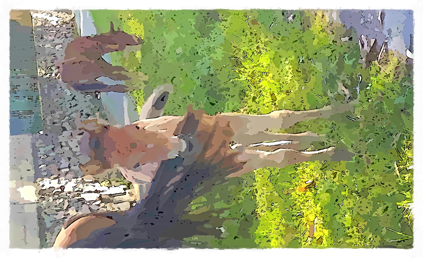 IMG_20220622_090835_243_FotoSketcher.jpg