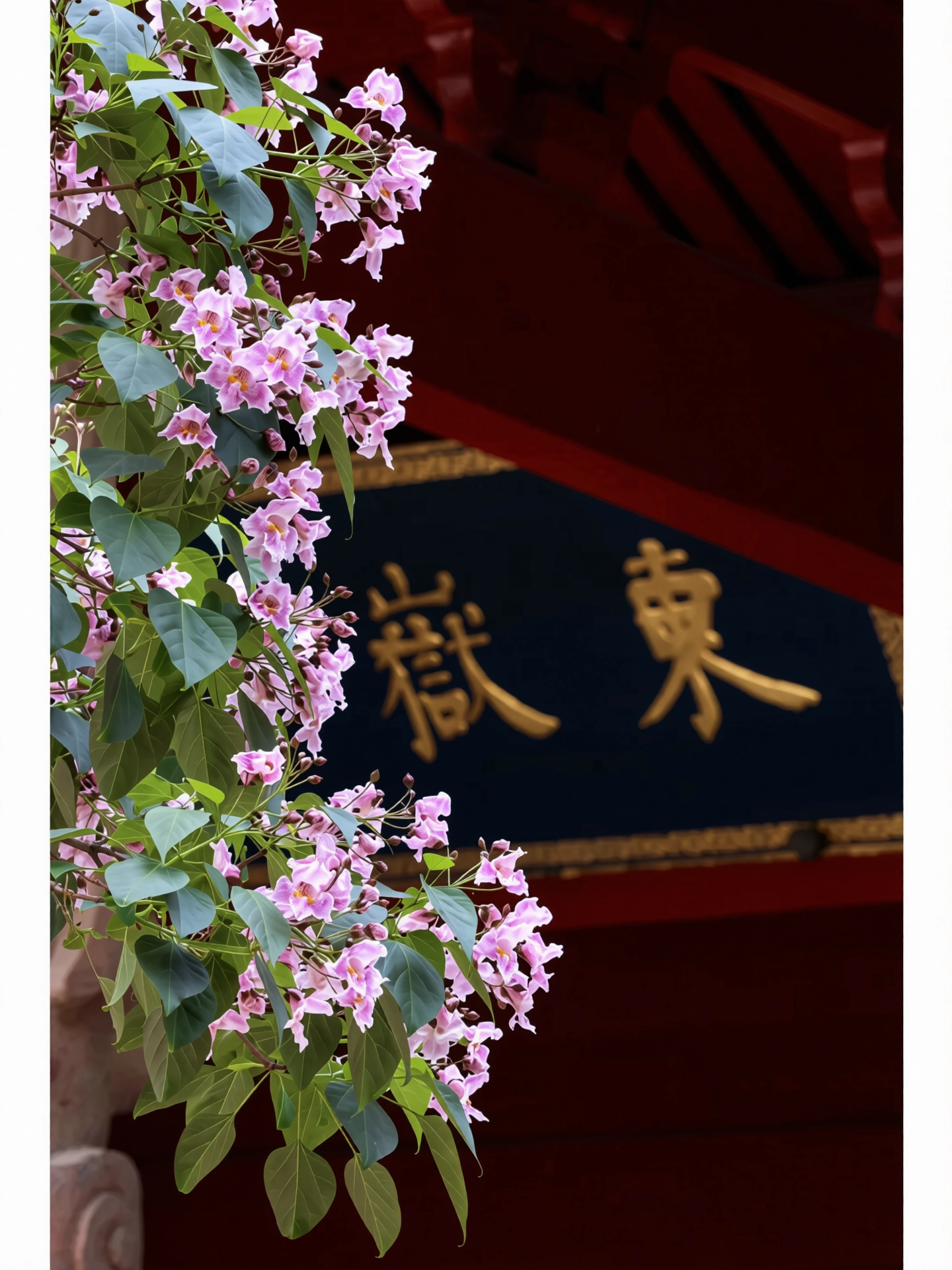 213.webp