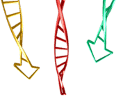 arrows.gif