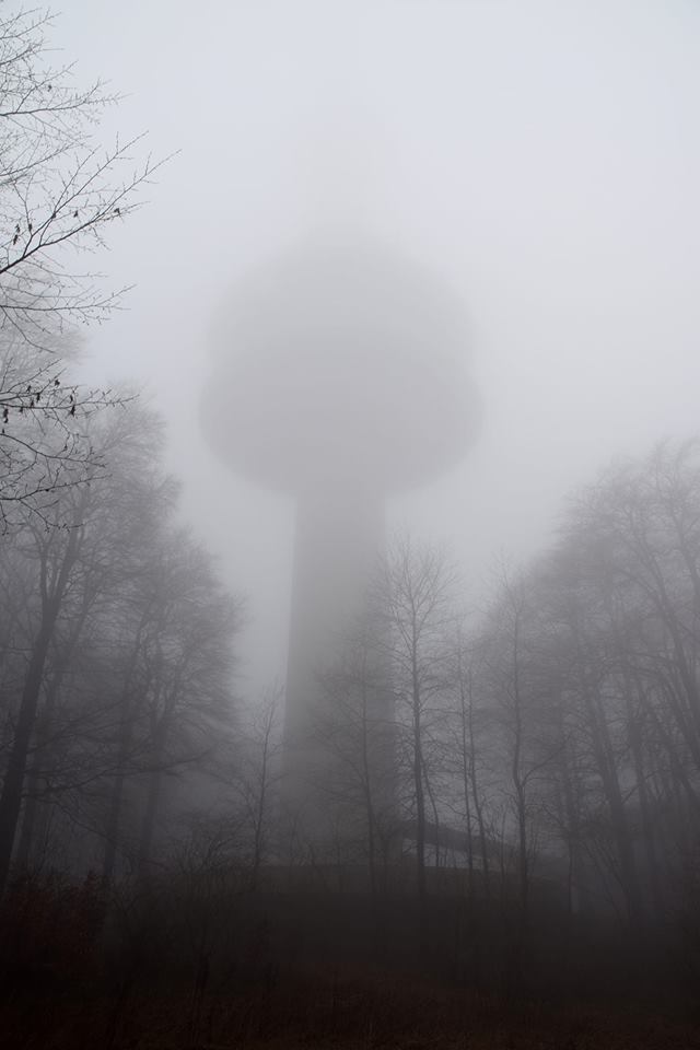 52938230_2188274834563142_7441051559242235904_n.jpg