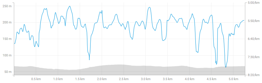 screenshot-www.strava.com-2018-06-01-21-16-08.png