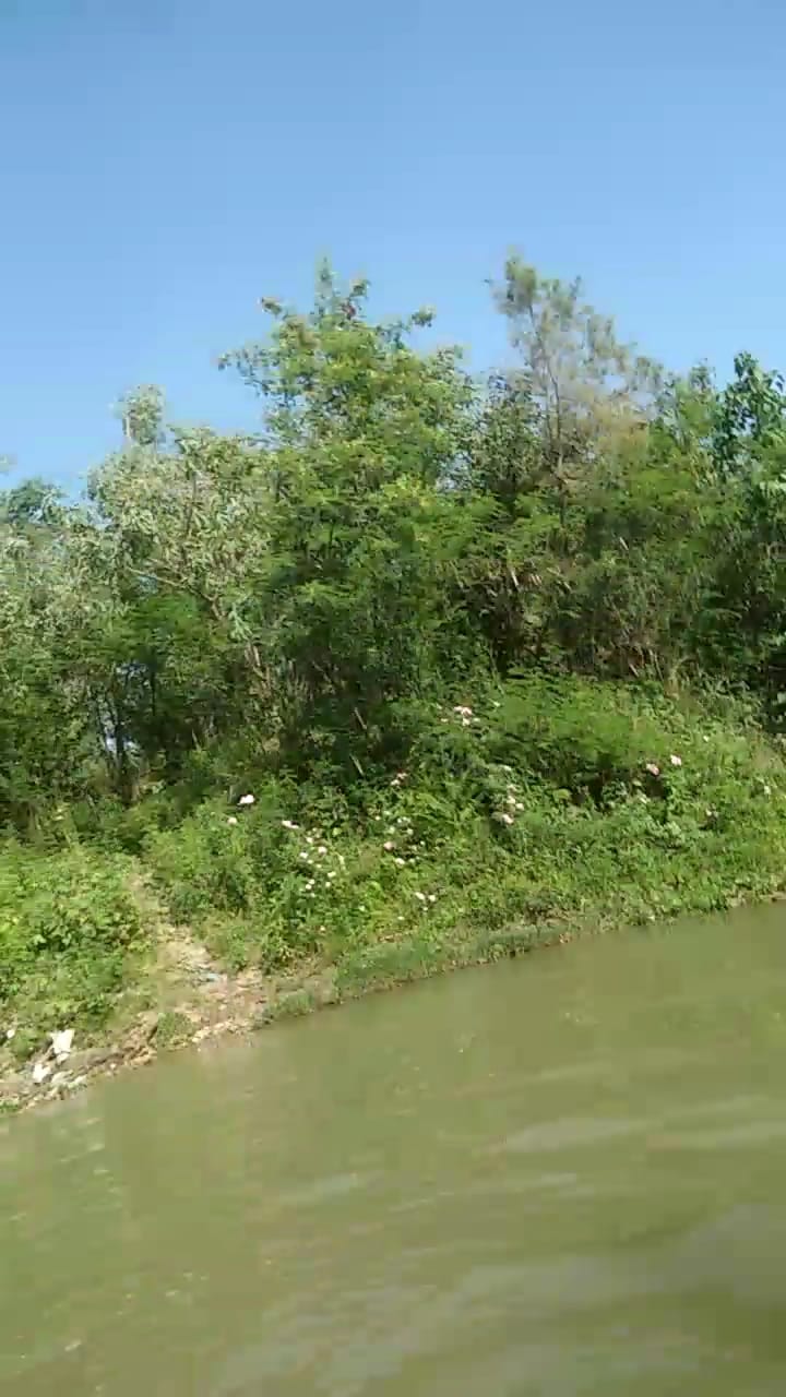 IMG-20210613-WA0012.jpg