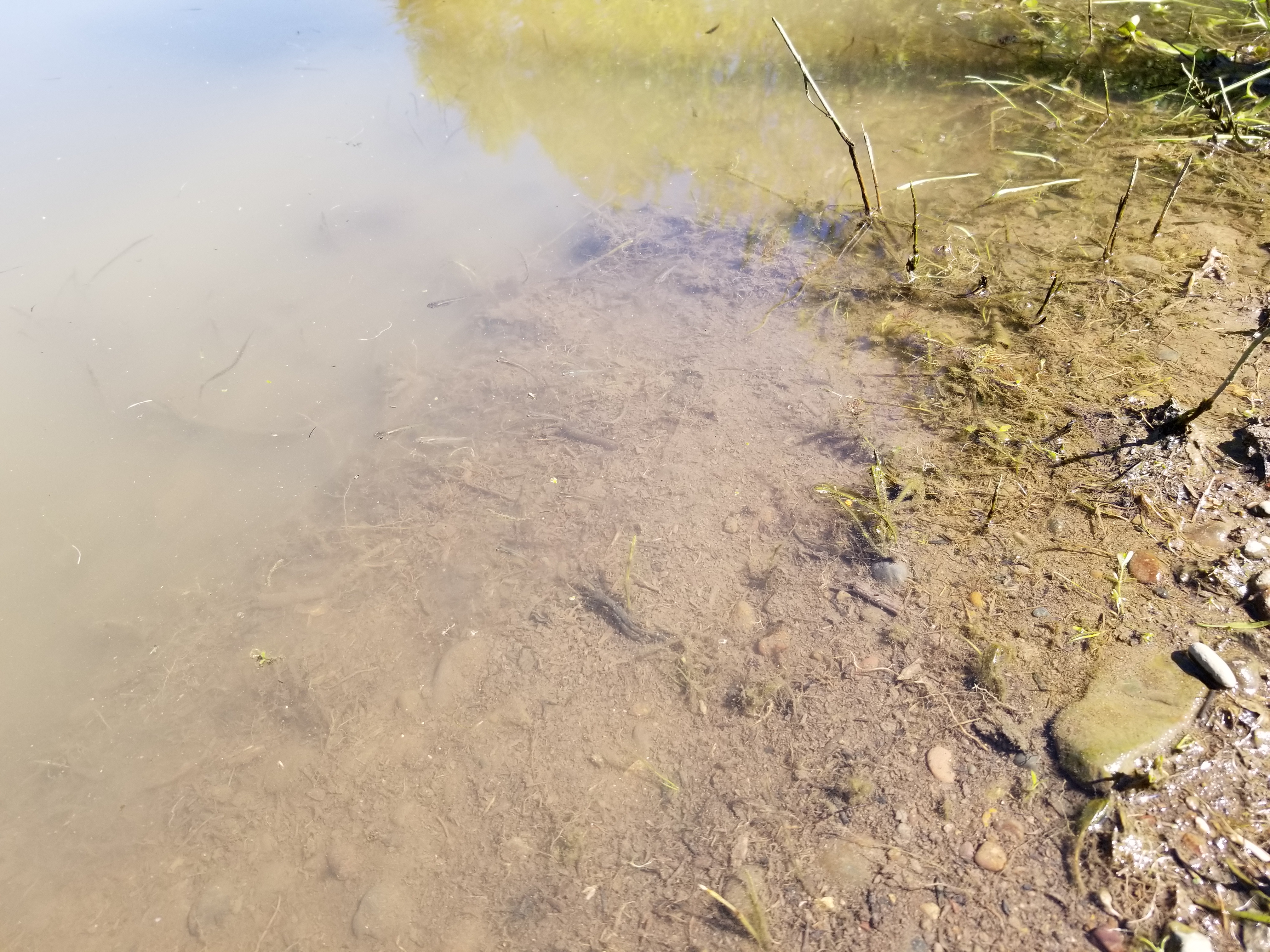20180421_132109.jpg