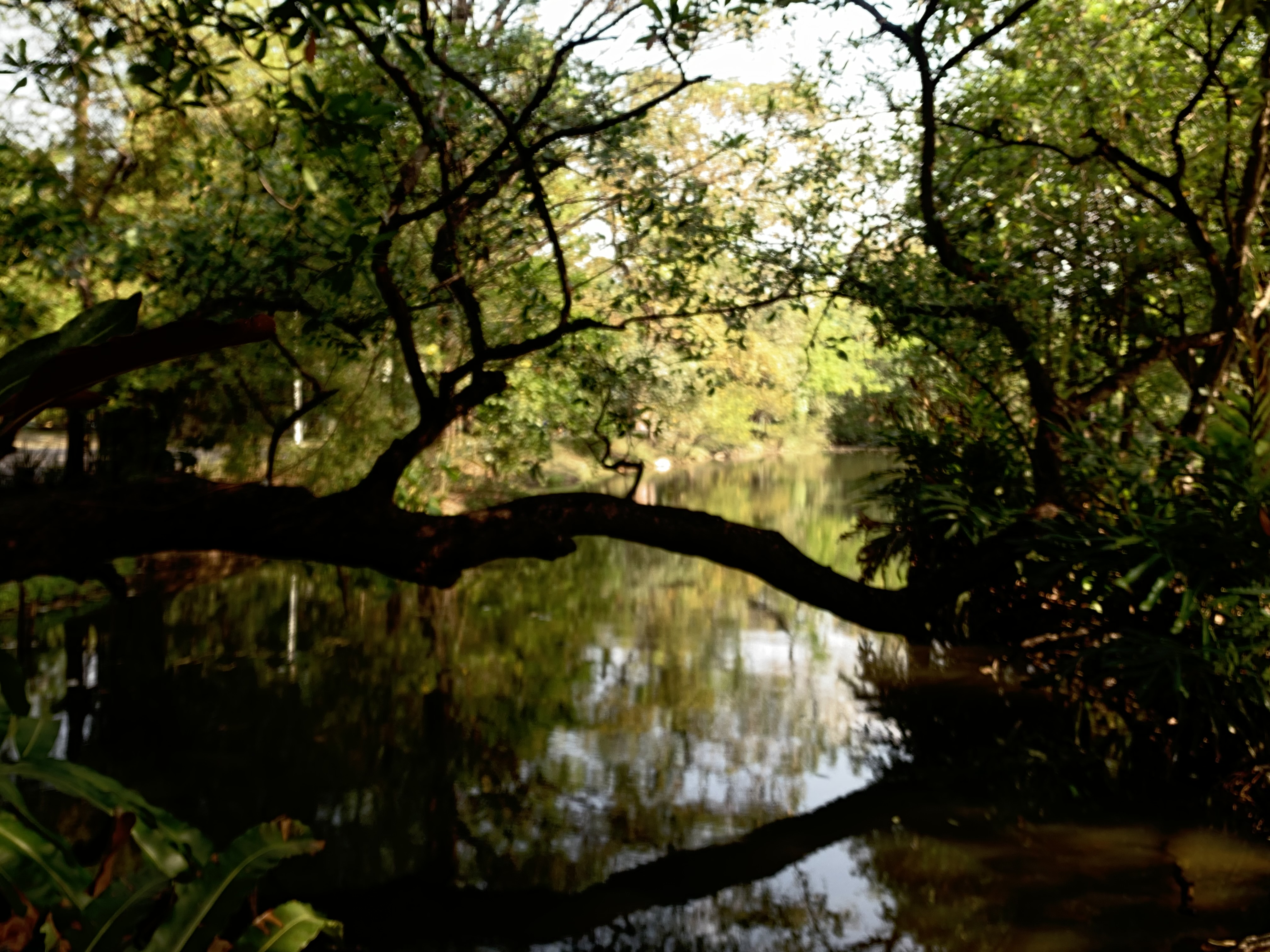 nature705.jpg
