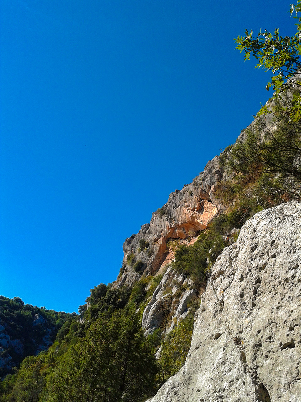 20130914_110454.jpg