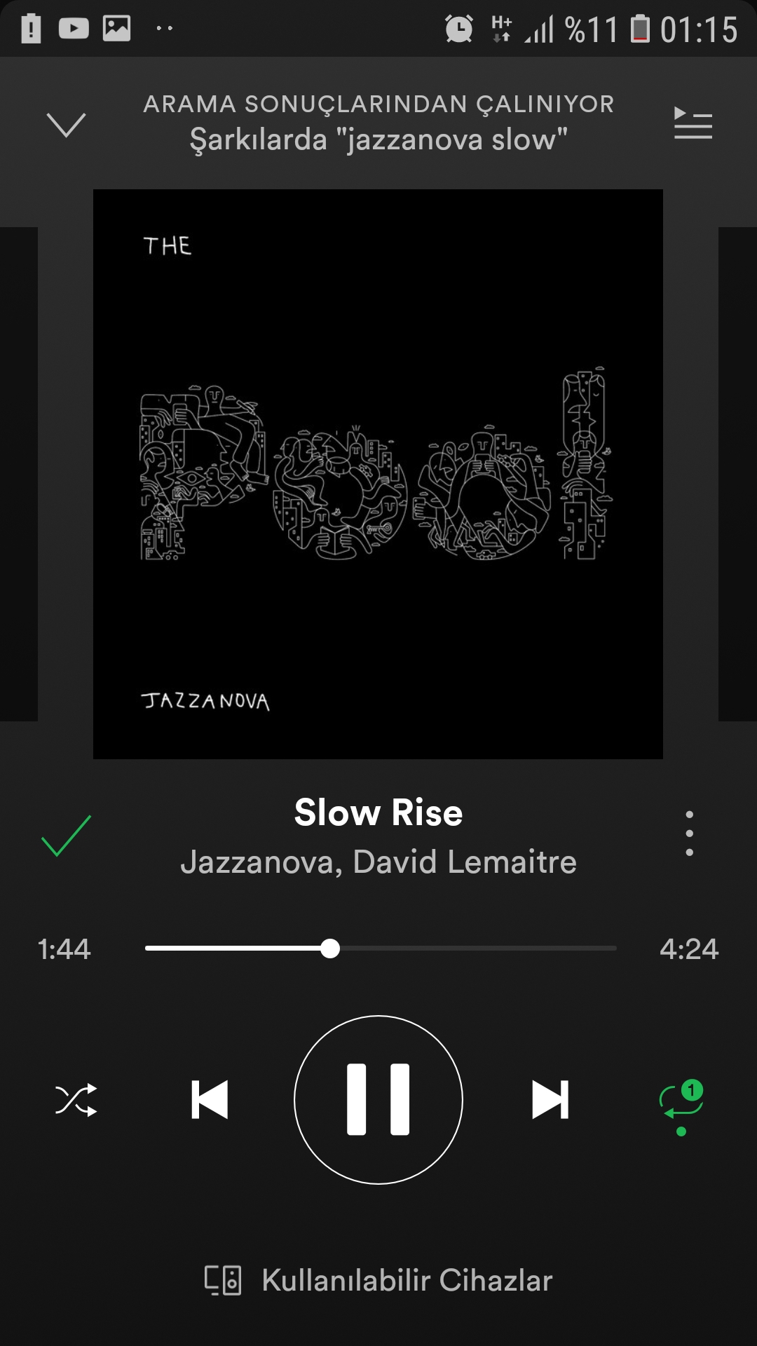 Screenshot_20190406-011501_Spotify.jpg