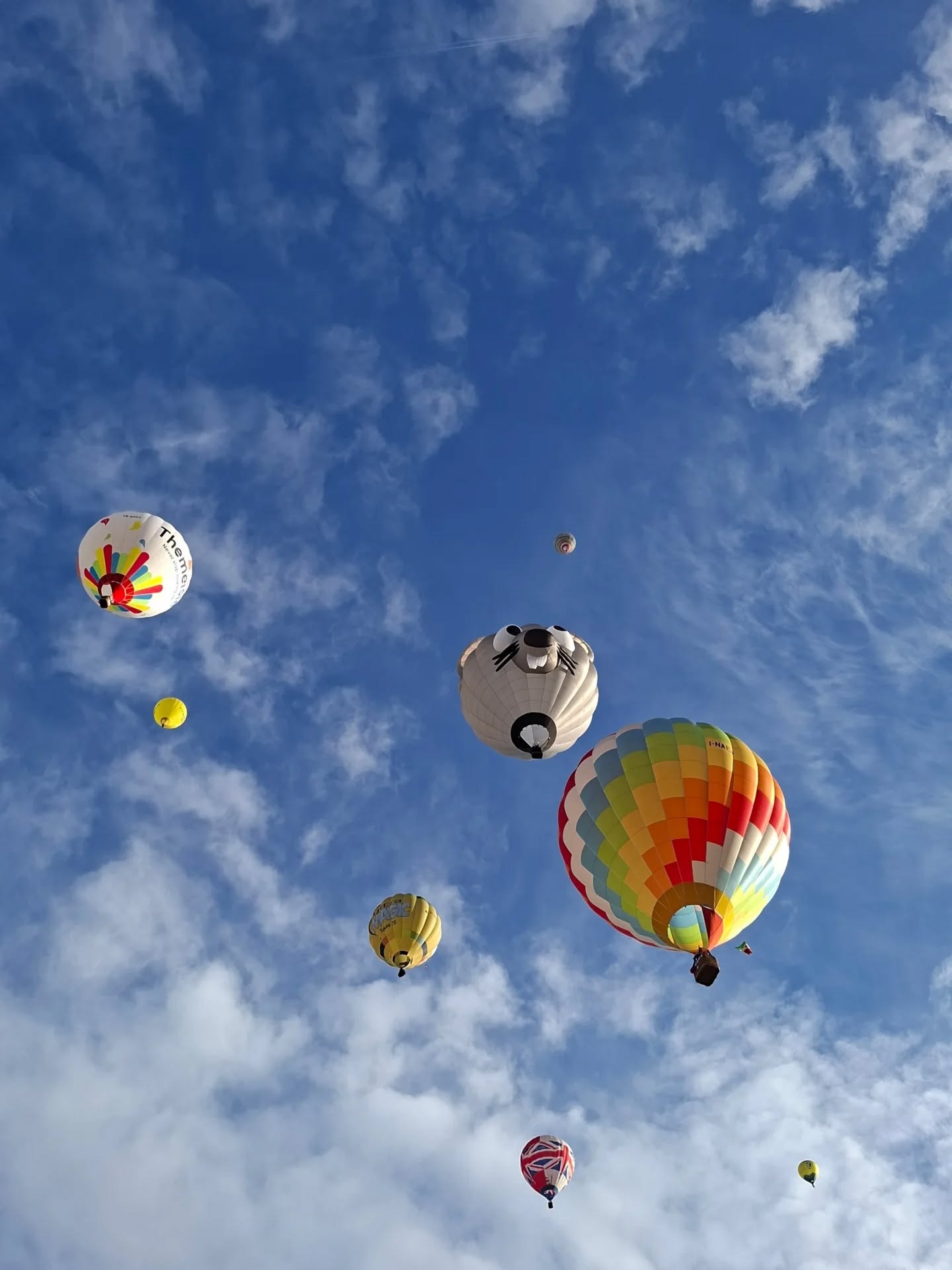 610773869_18381462826156072_9145.jpg