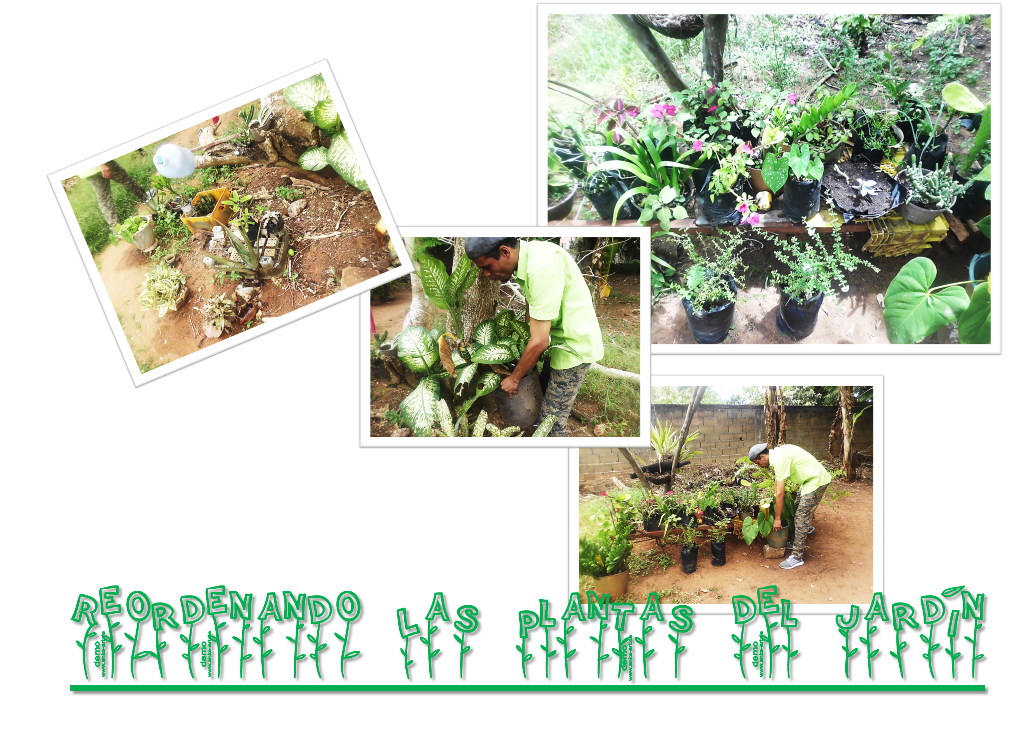 reordenando el jardin.png